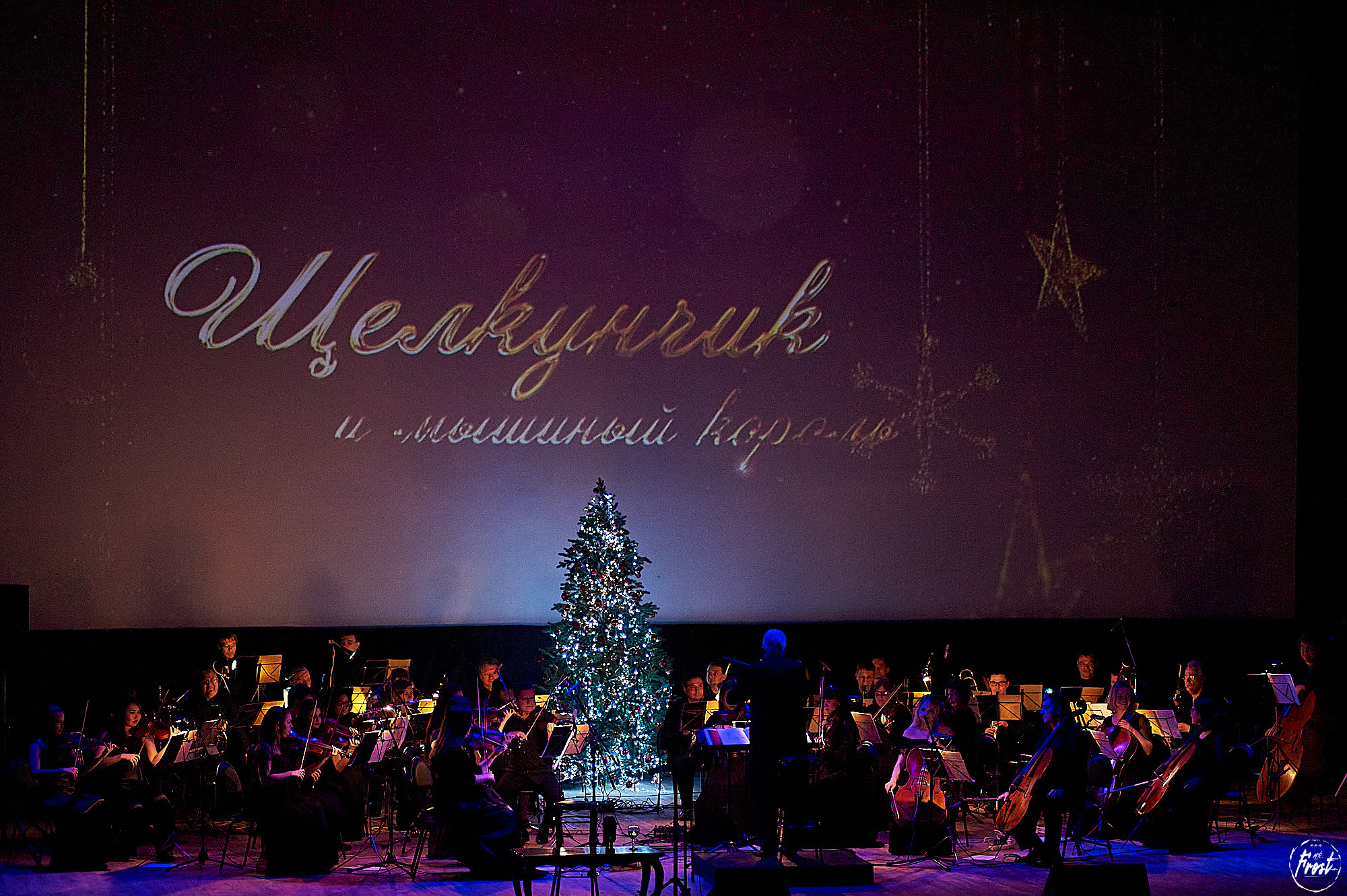 Максим Аверин. Фотографии отовсюду и обо всем