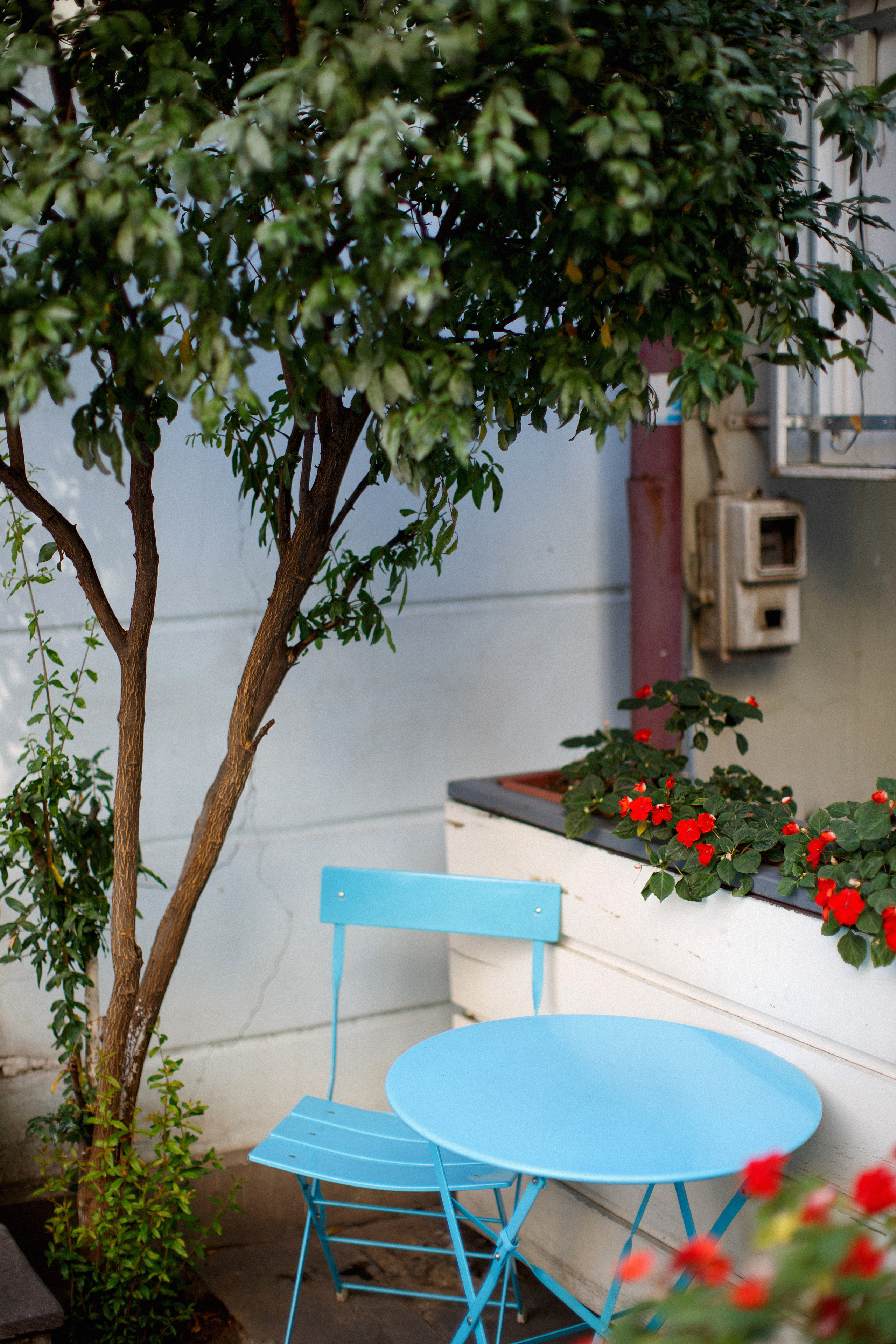 Тбилиси. Главная