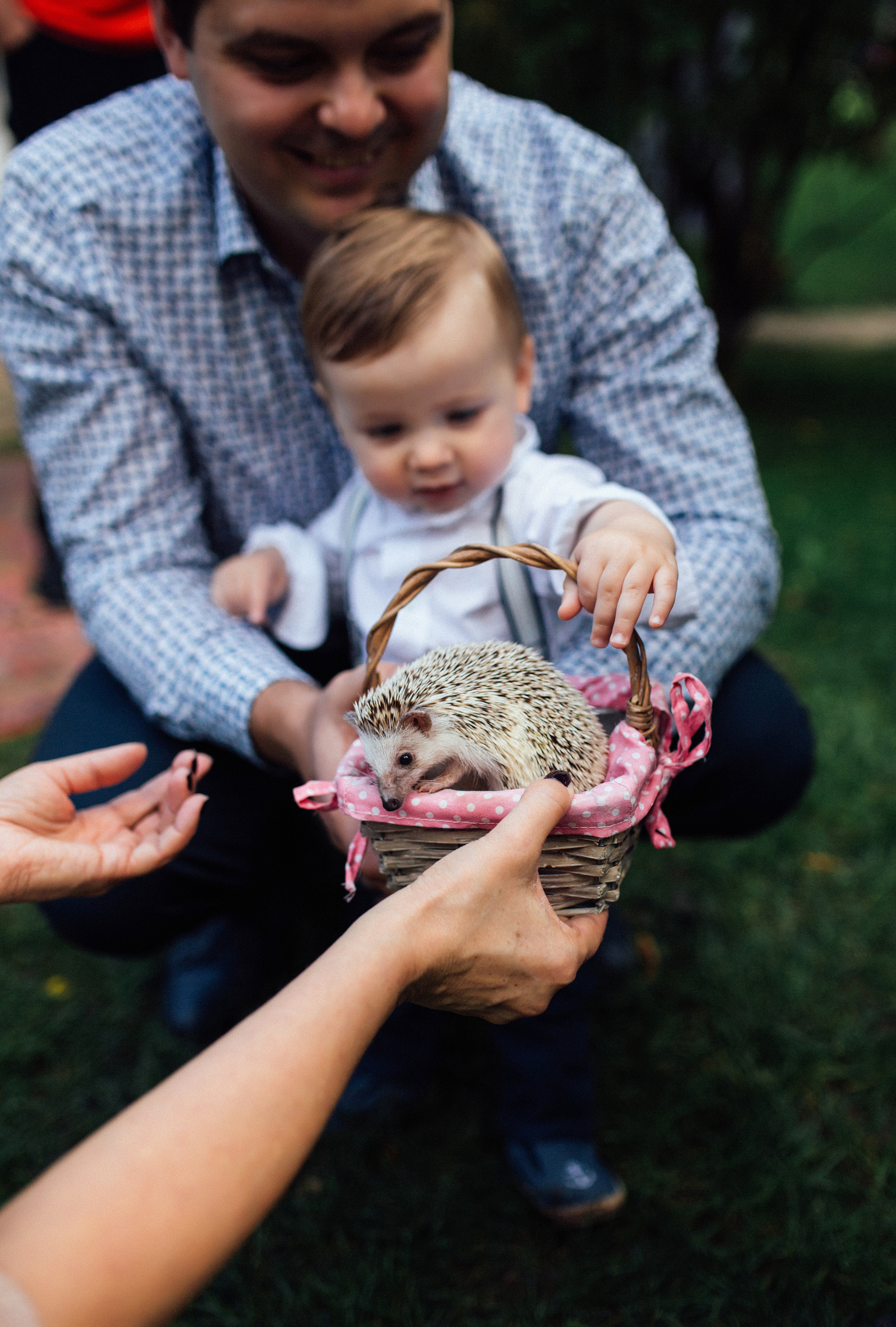 День Рождения — Один год. Главная