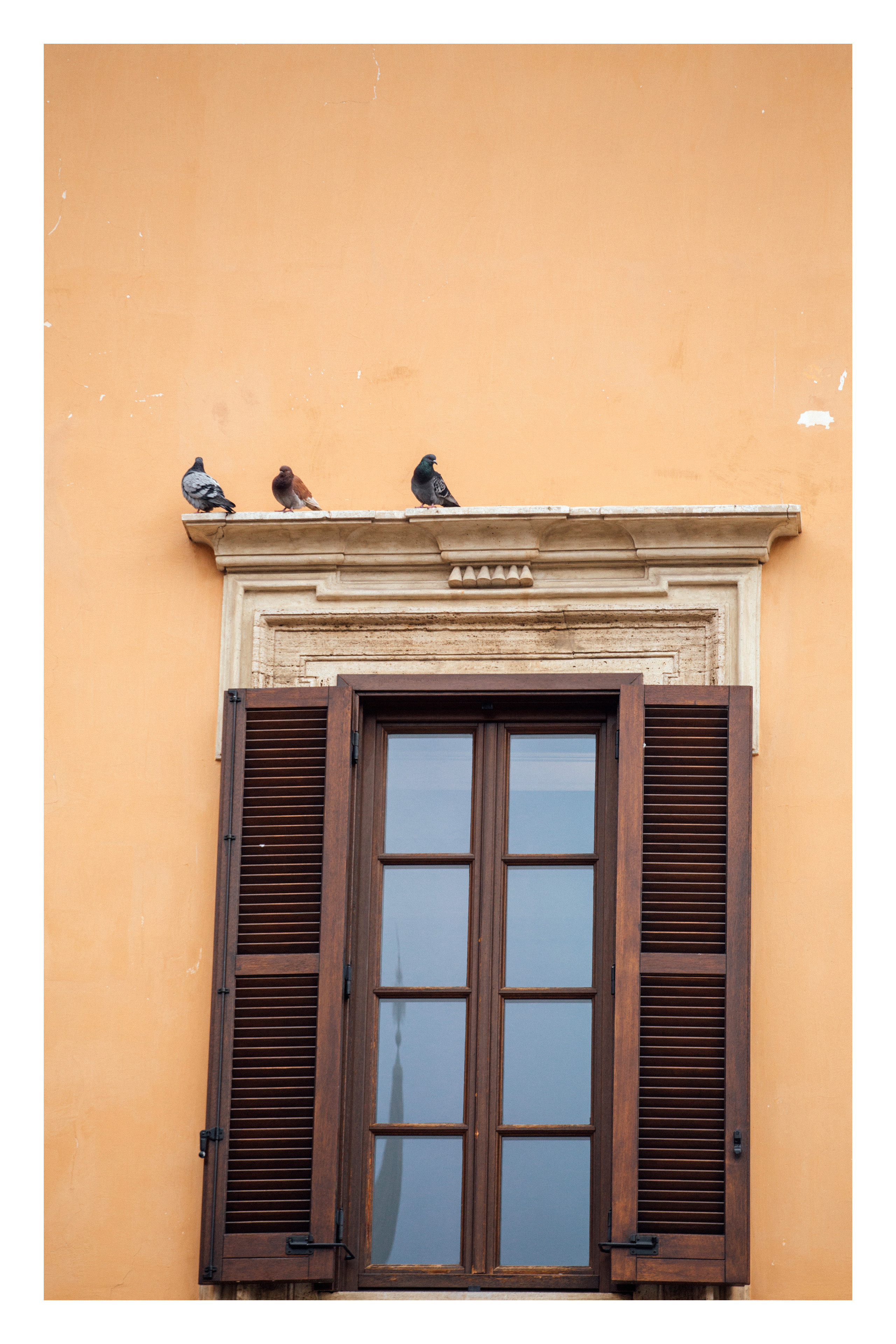 Великий Рим. Главная