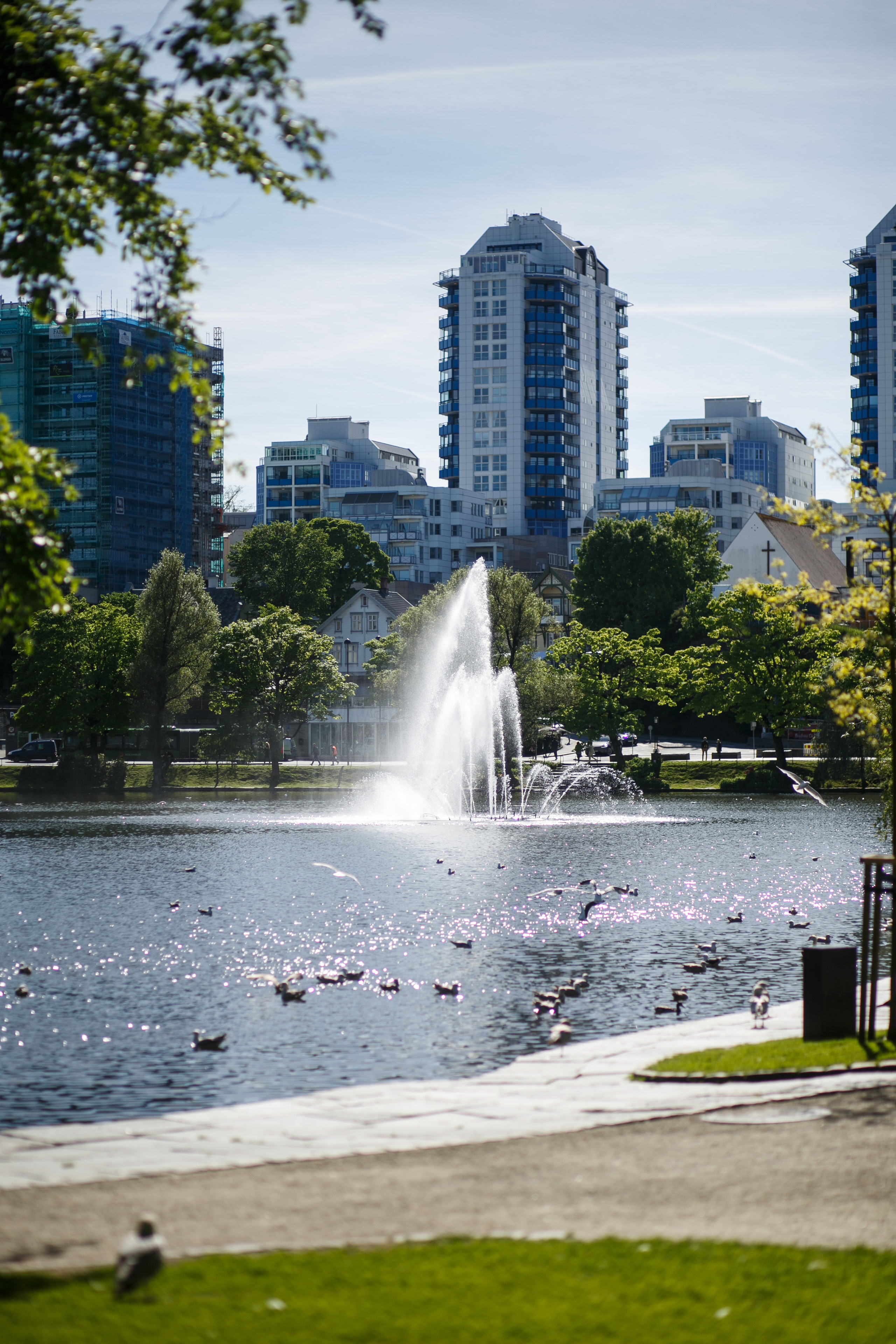 Норвегия. Ставангер. Главная