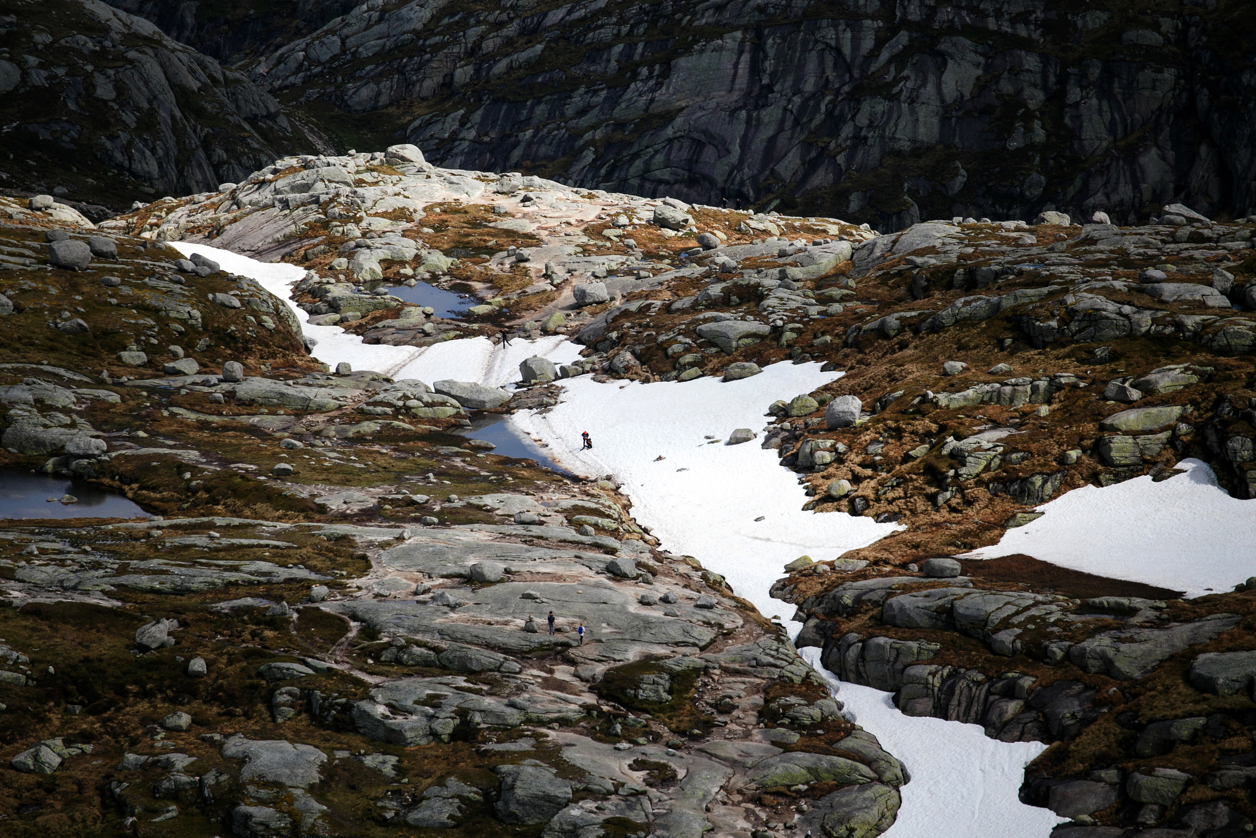 Норвегия. Природа. Главная