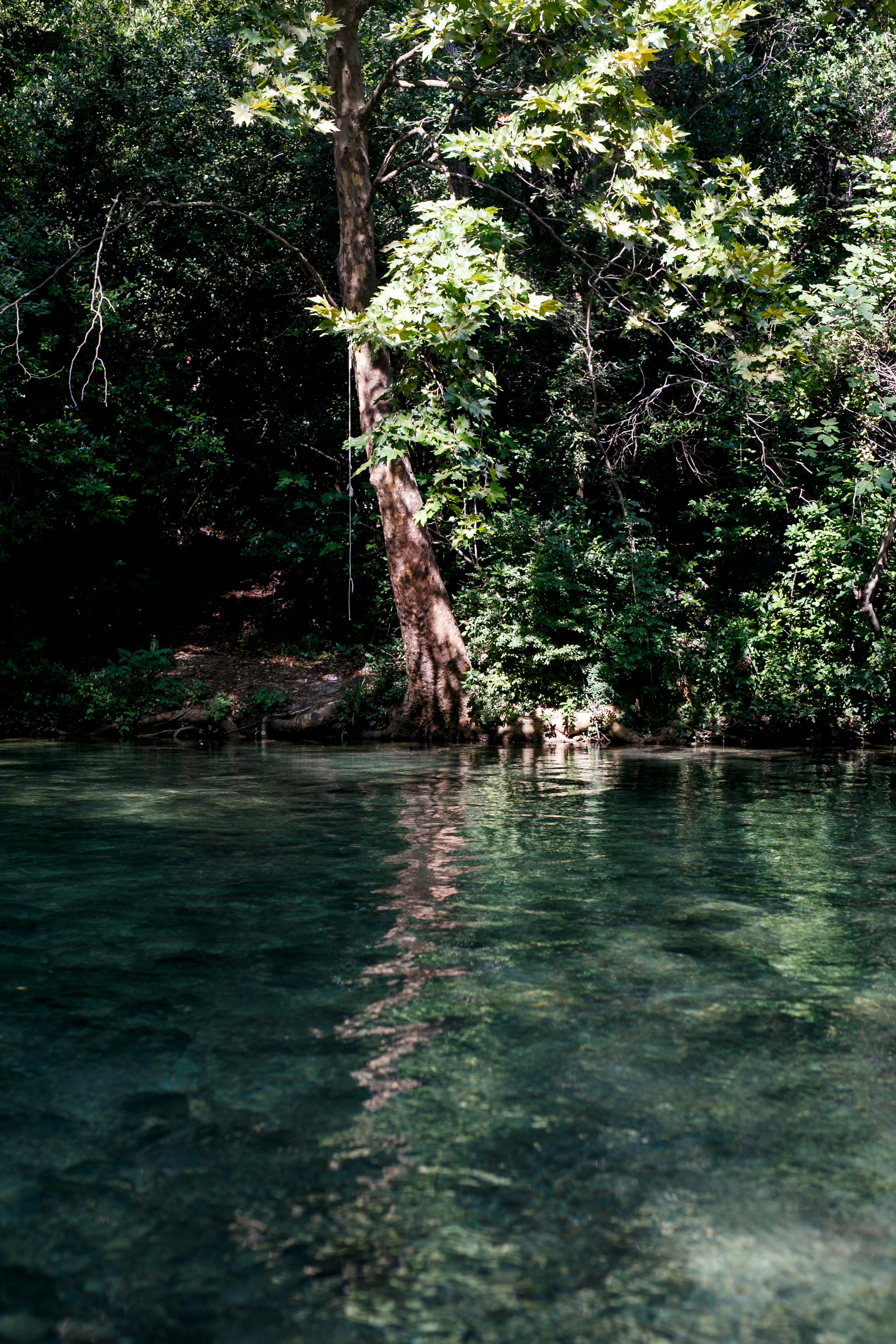 Хорватия. Главная