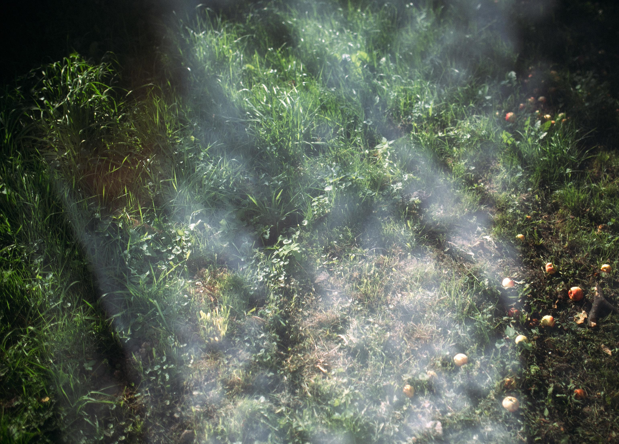 Фатима и Аркадий. Главная