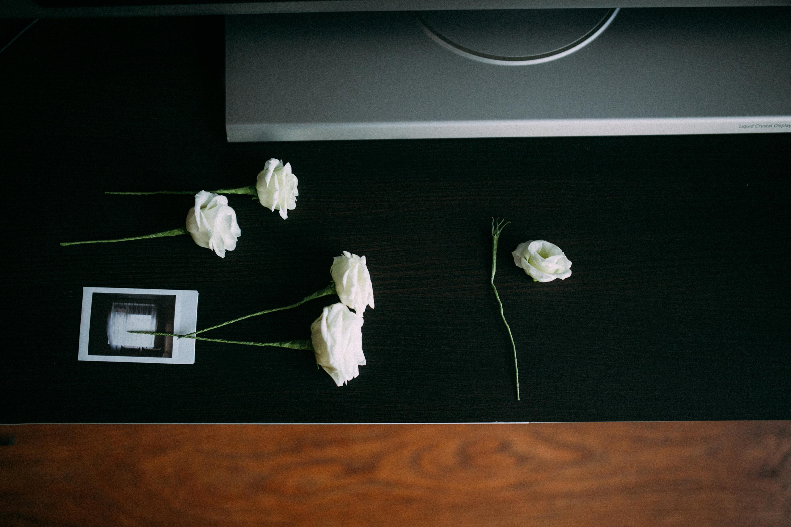 Лина и Саша. Главная