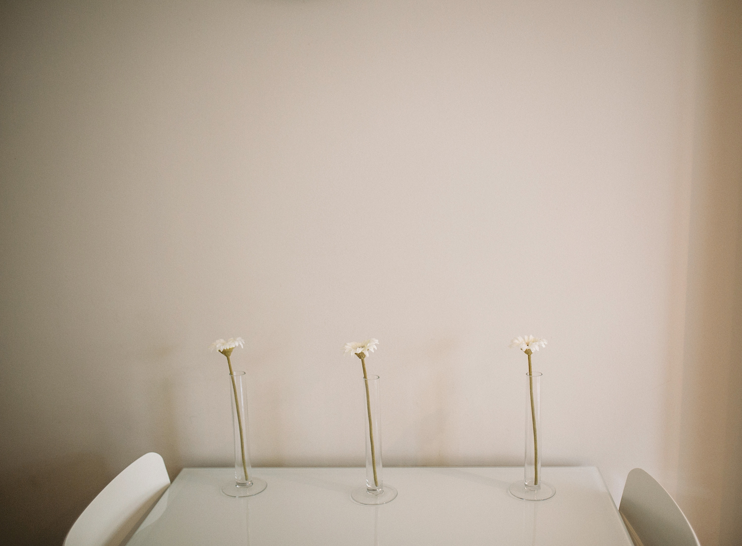 Саша и Аня. Главная