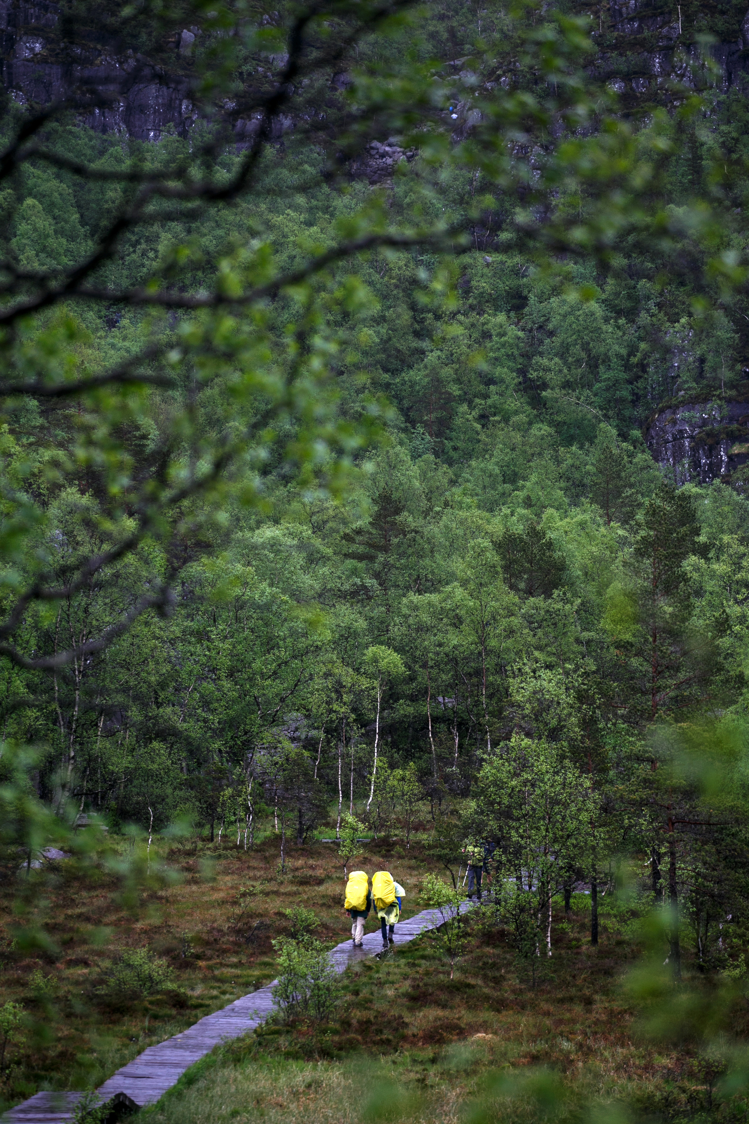 Норвегия. Природа. Главная