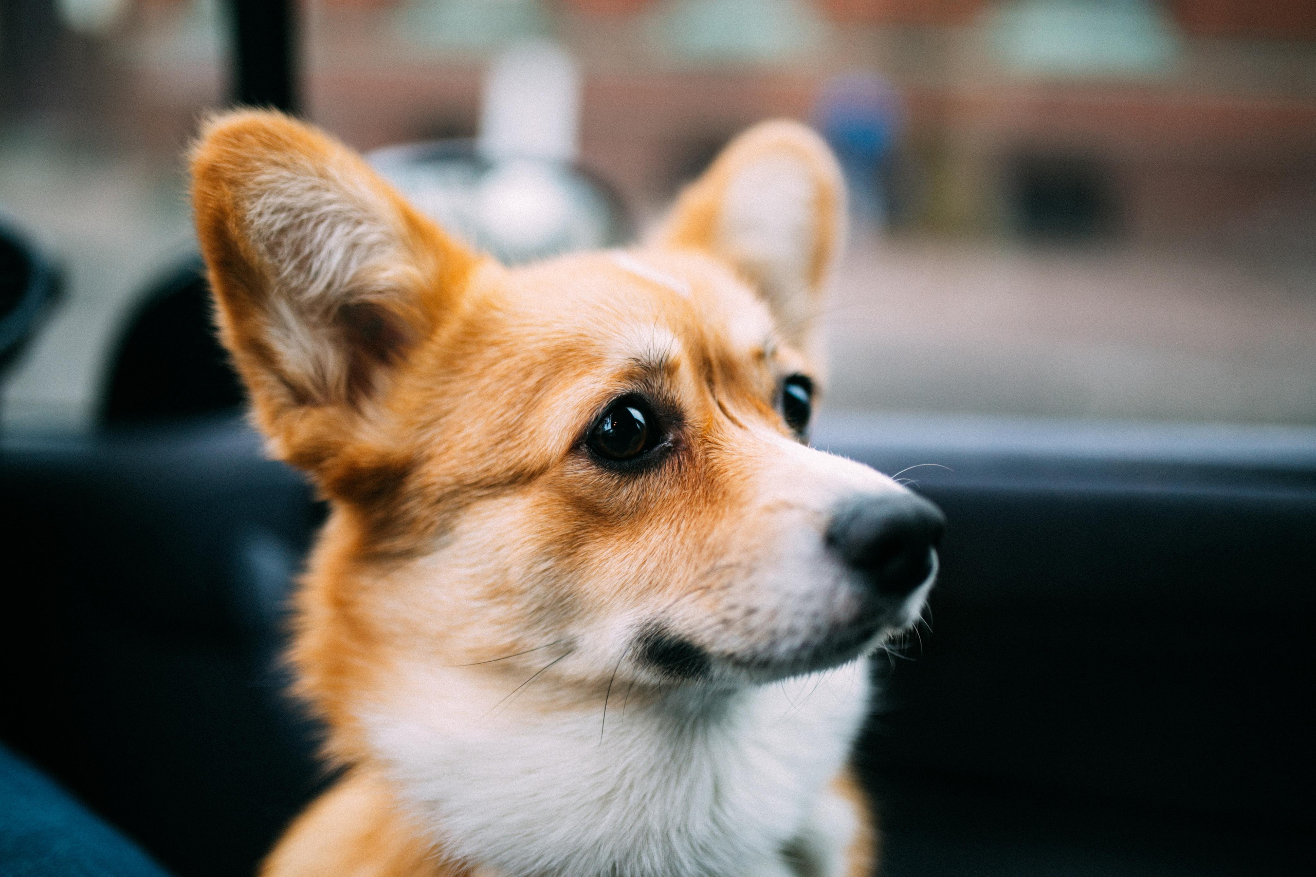 Лина и Саша. Главная