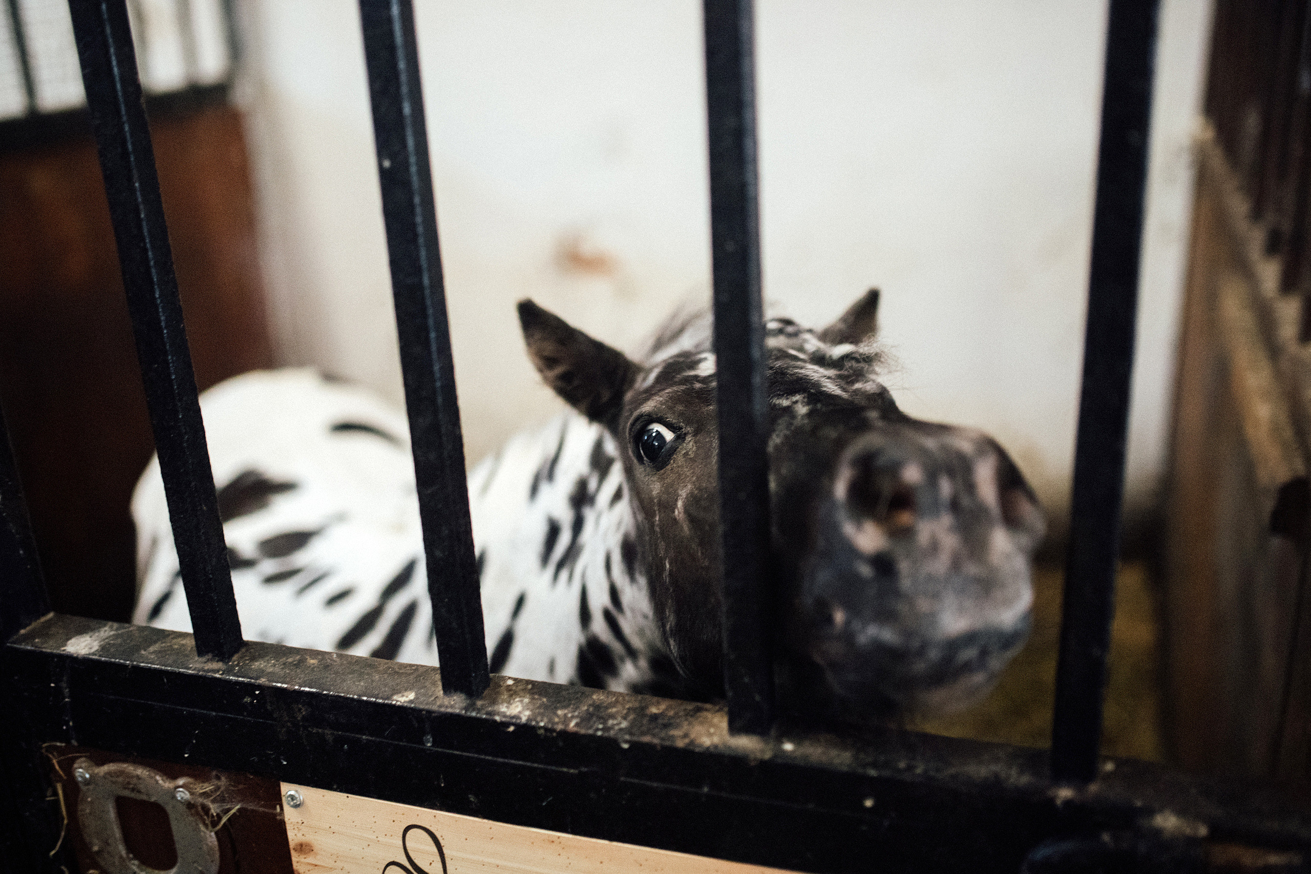 День Рождения 3 года. Главная