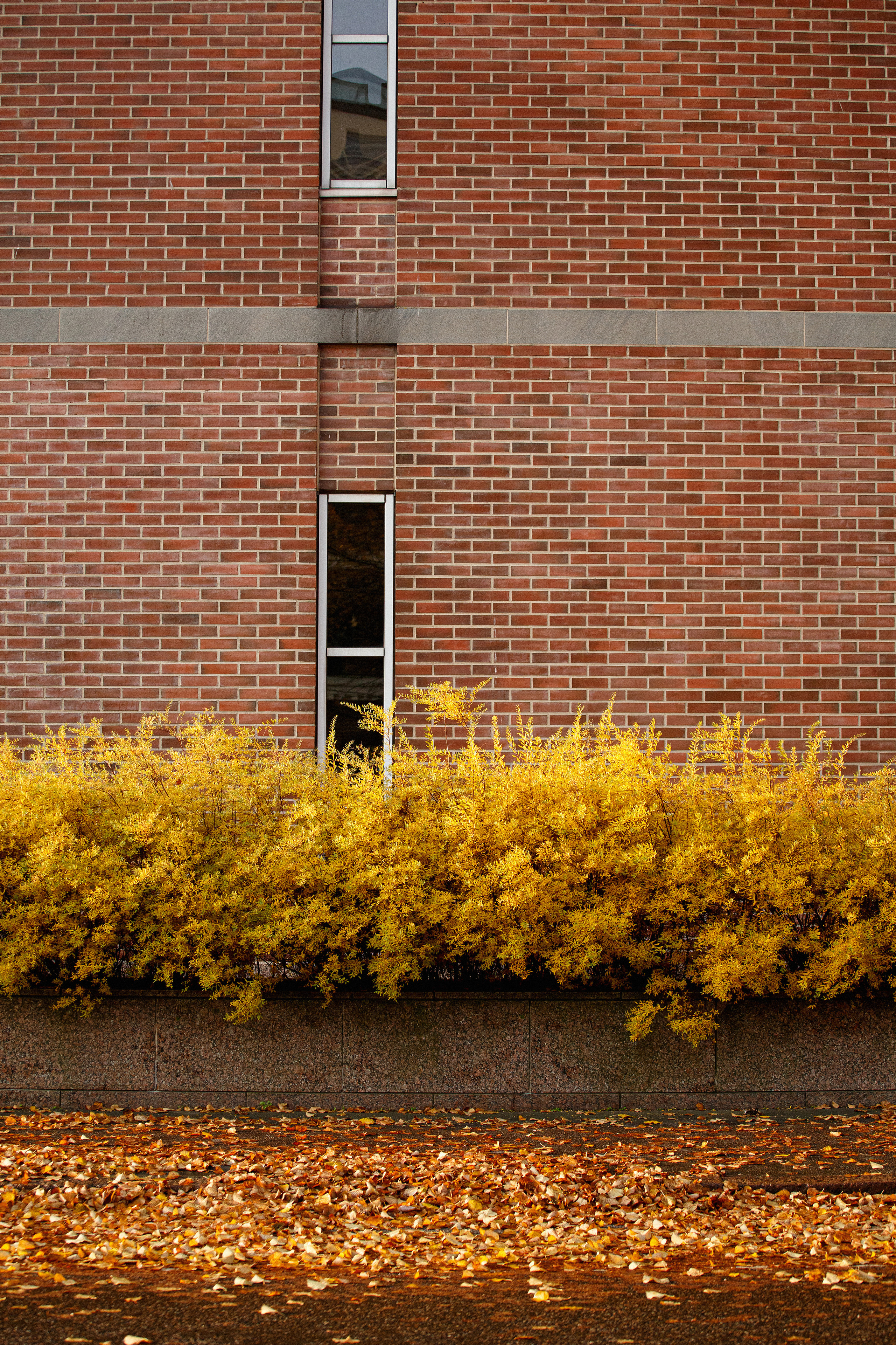 Хельсинки. Главная