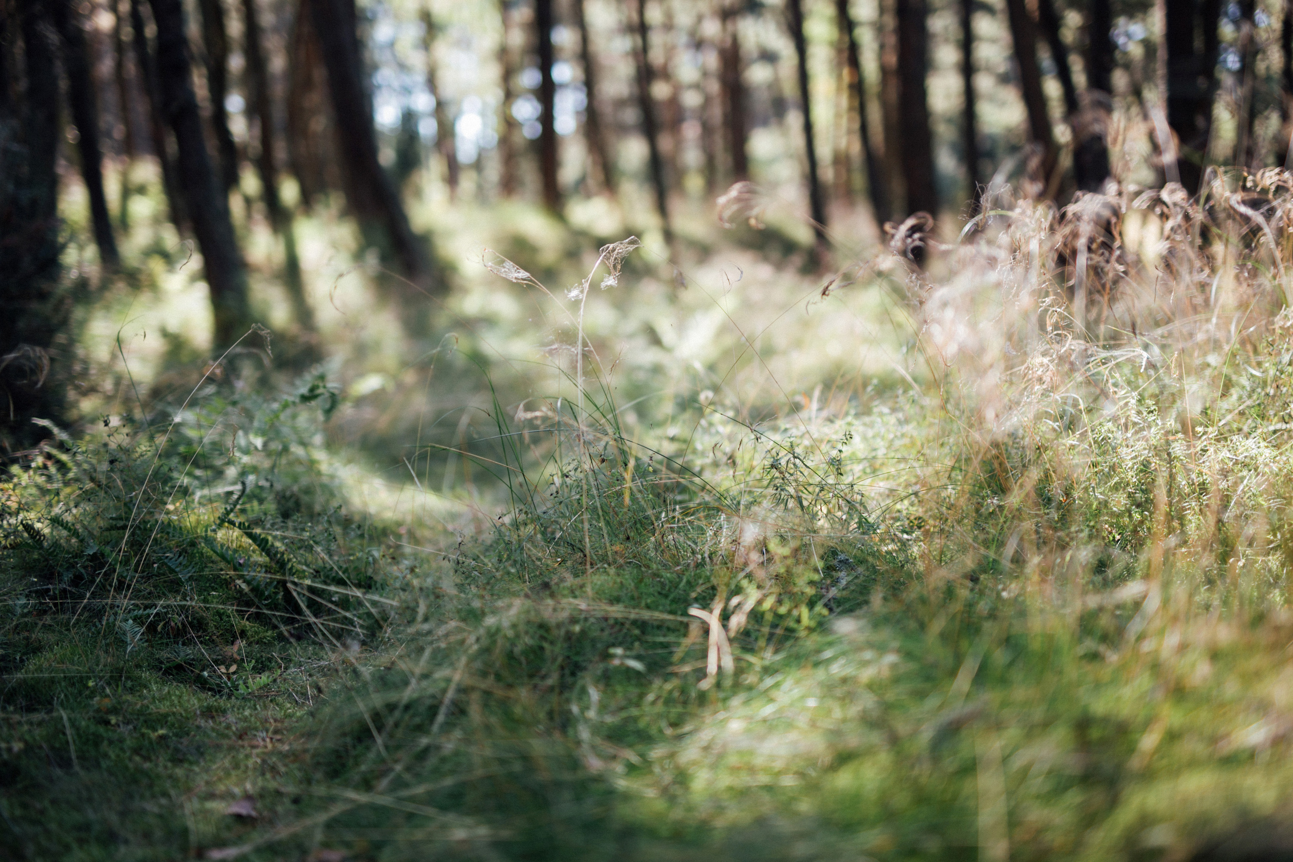 Ольга и Роберт. Главная