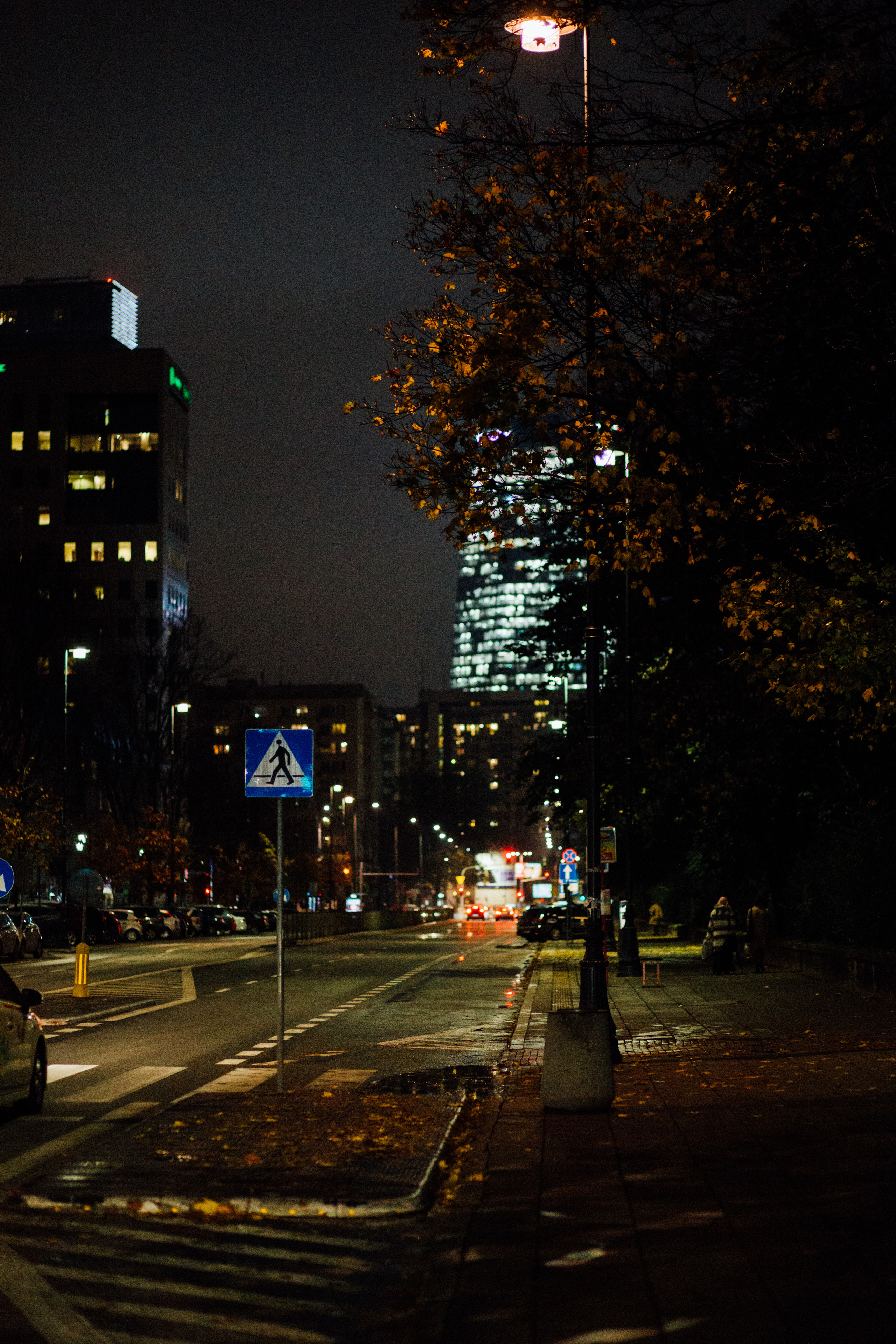 Варшава. Главная