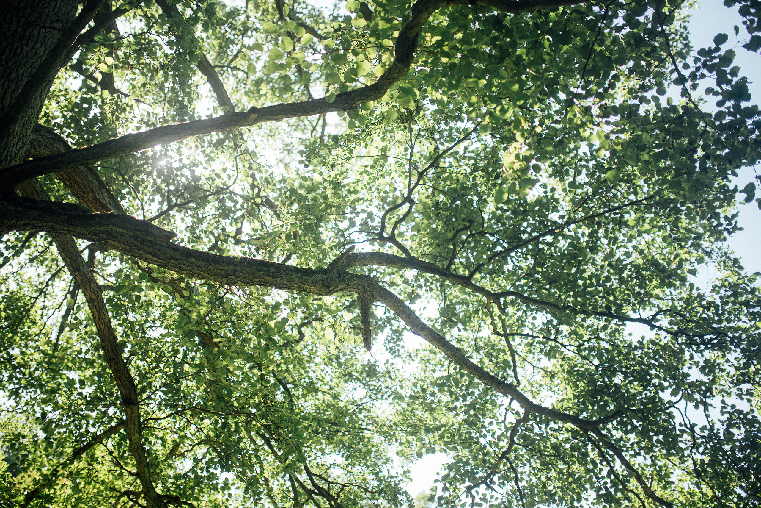 Аня и Тимоша. Главная