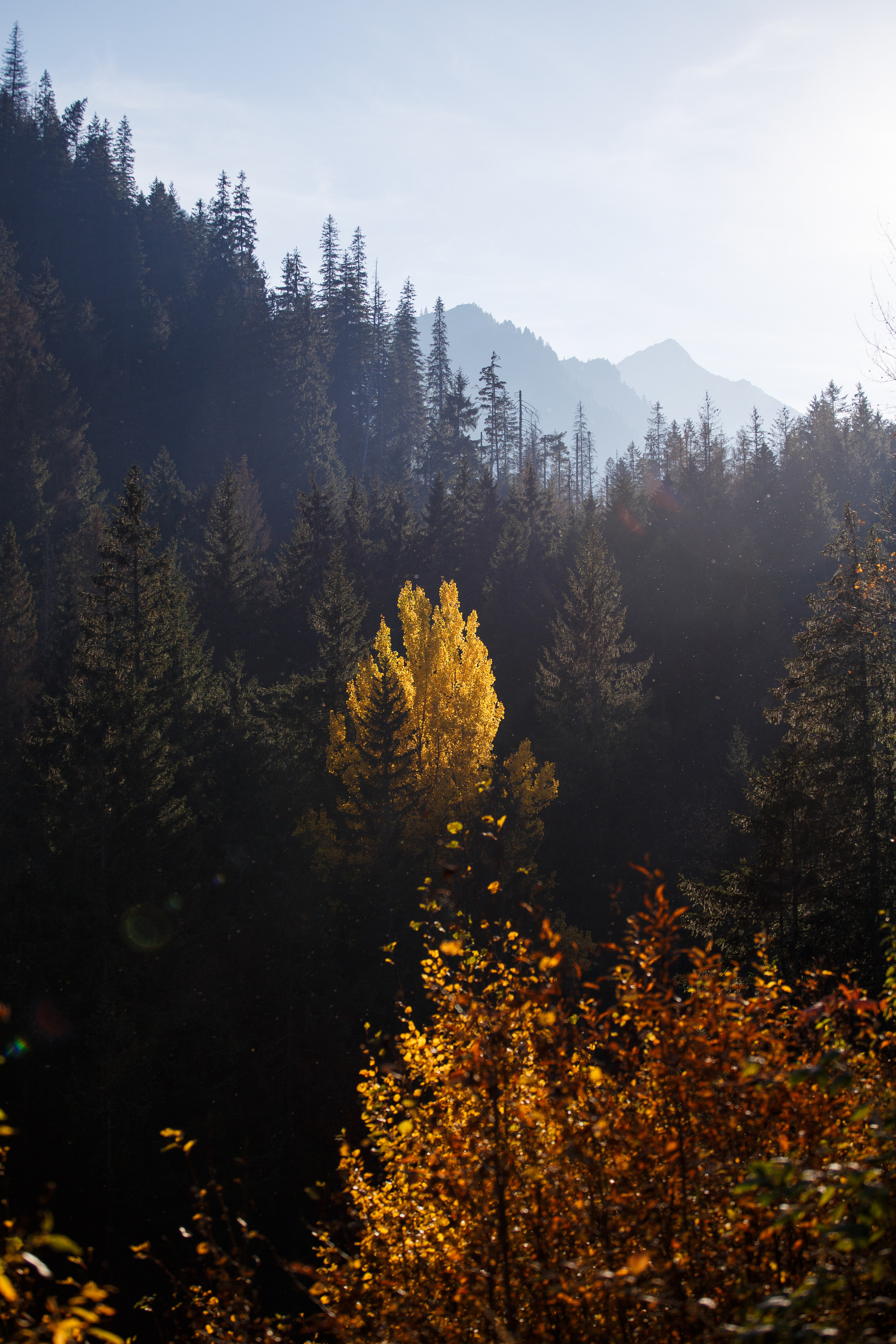 Закопане. Главная