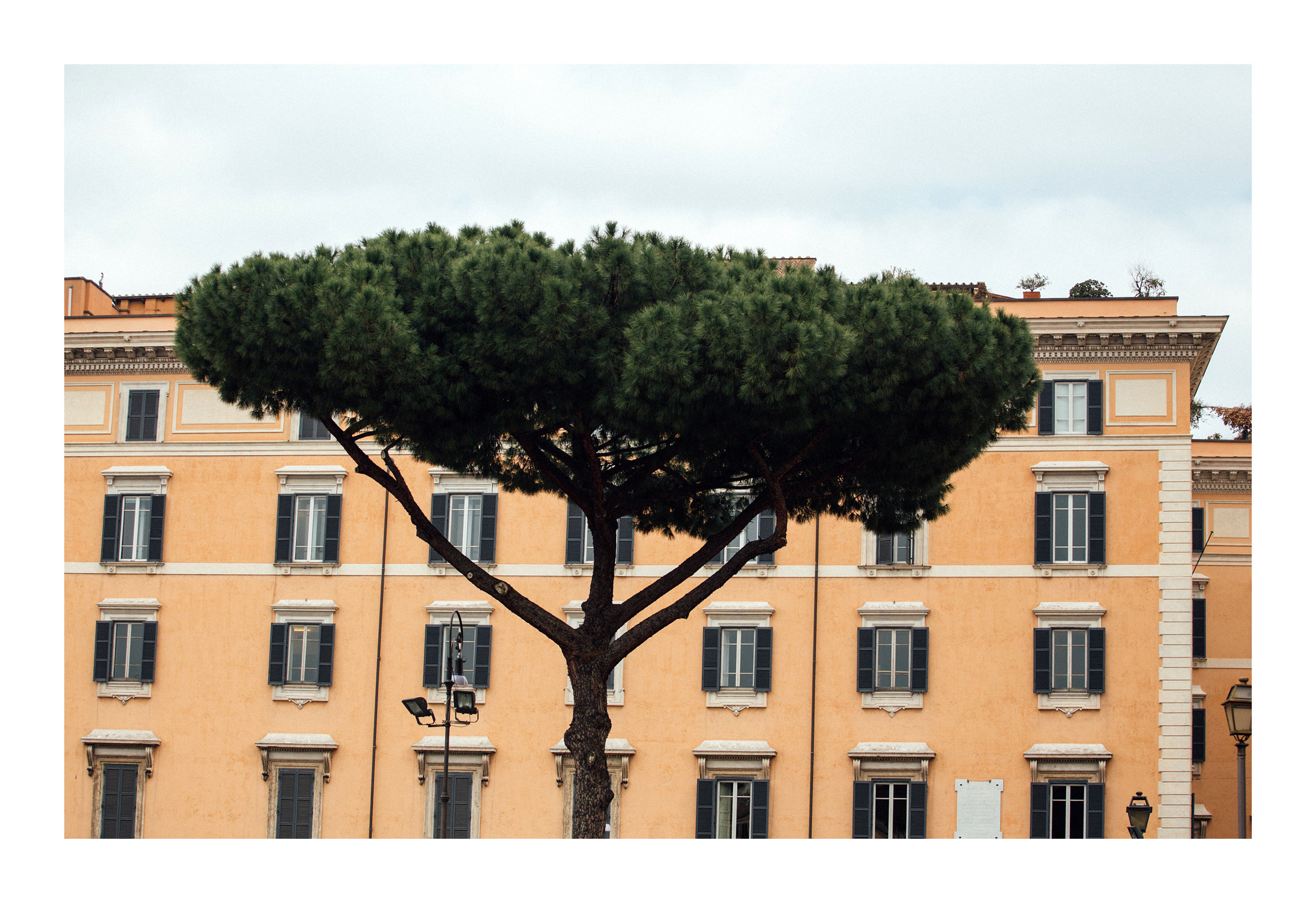 Великий Рим. Главная