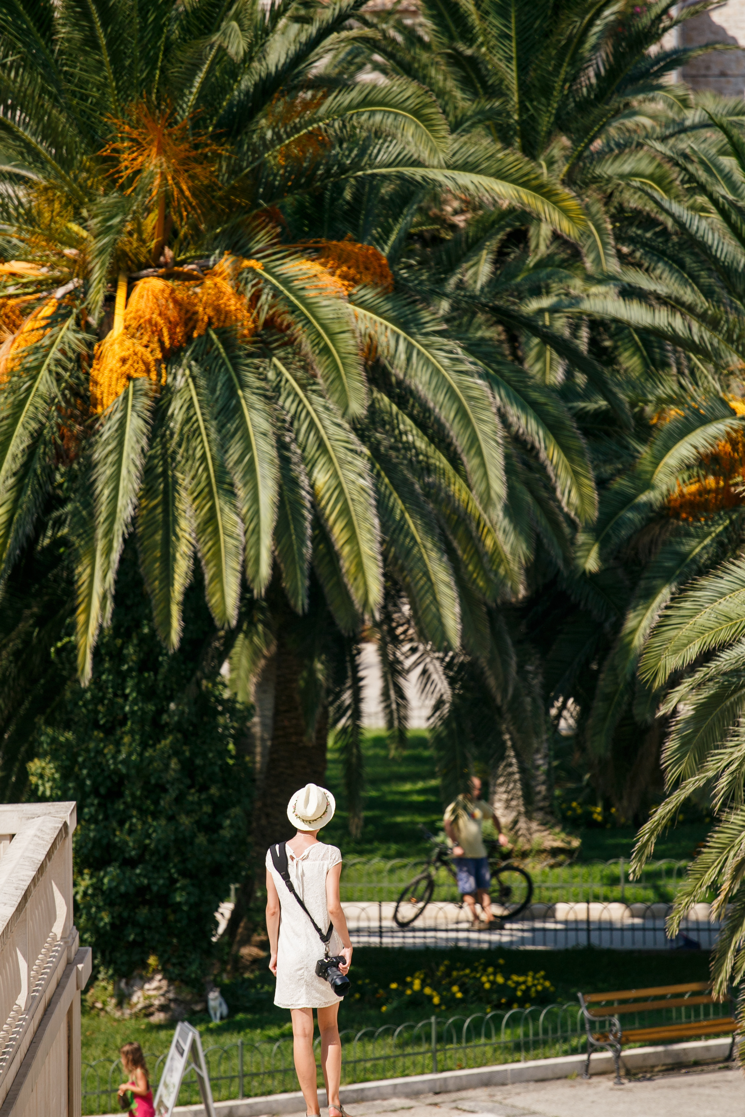 Хорватия. Главная