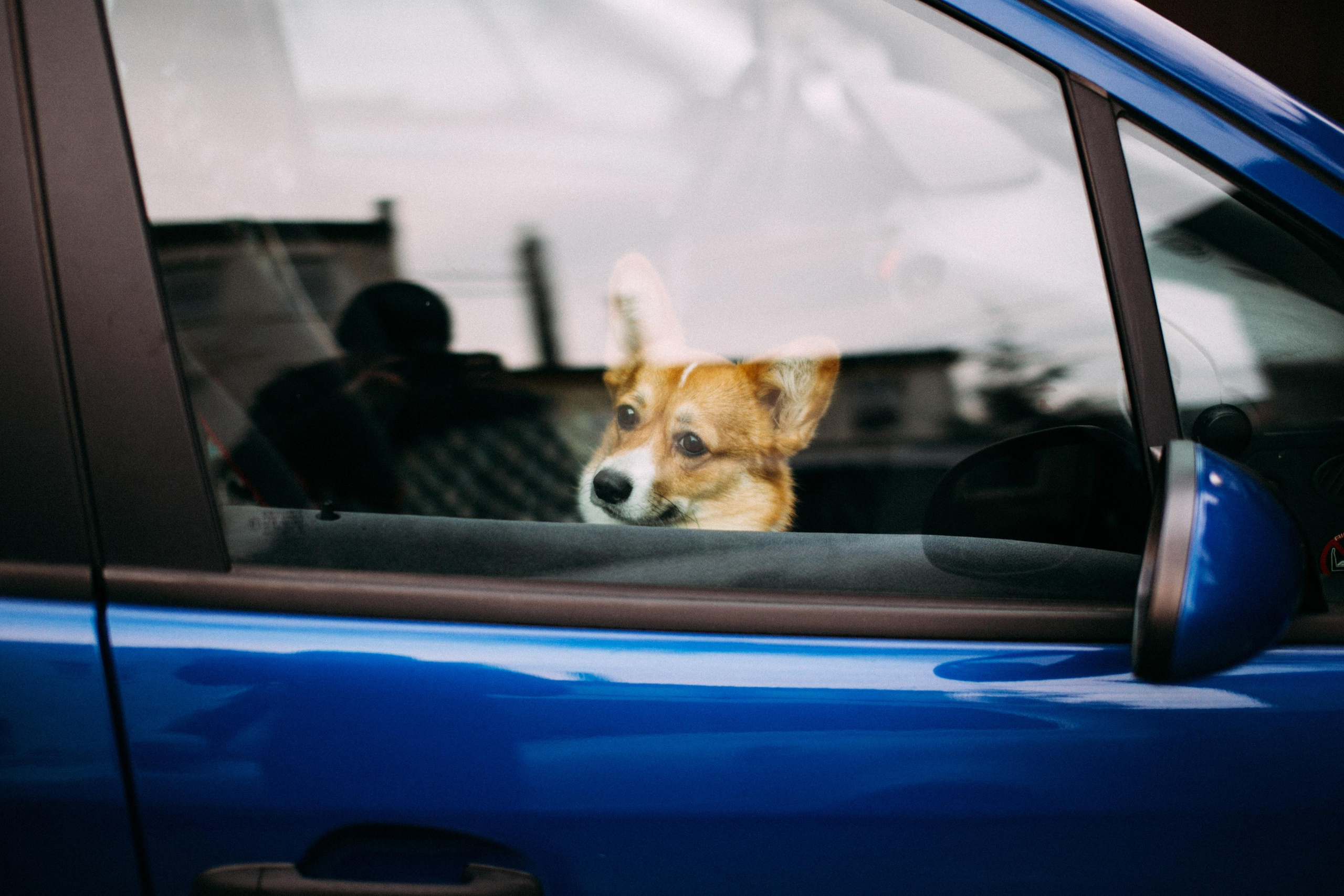 Лина и Саша. Главная