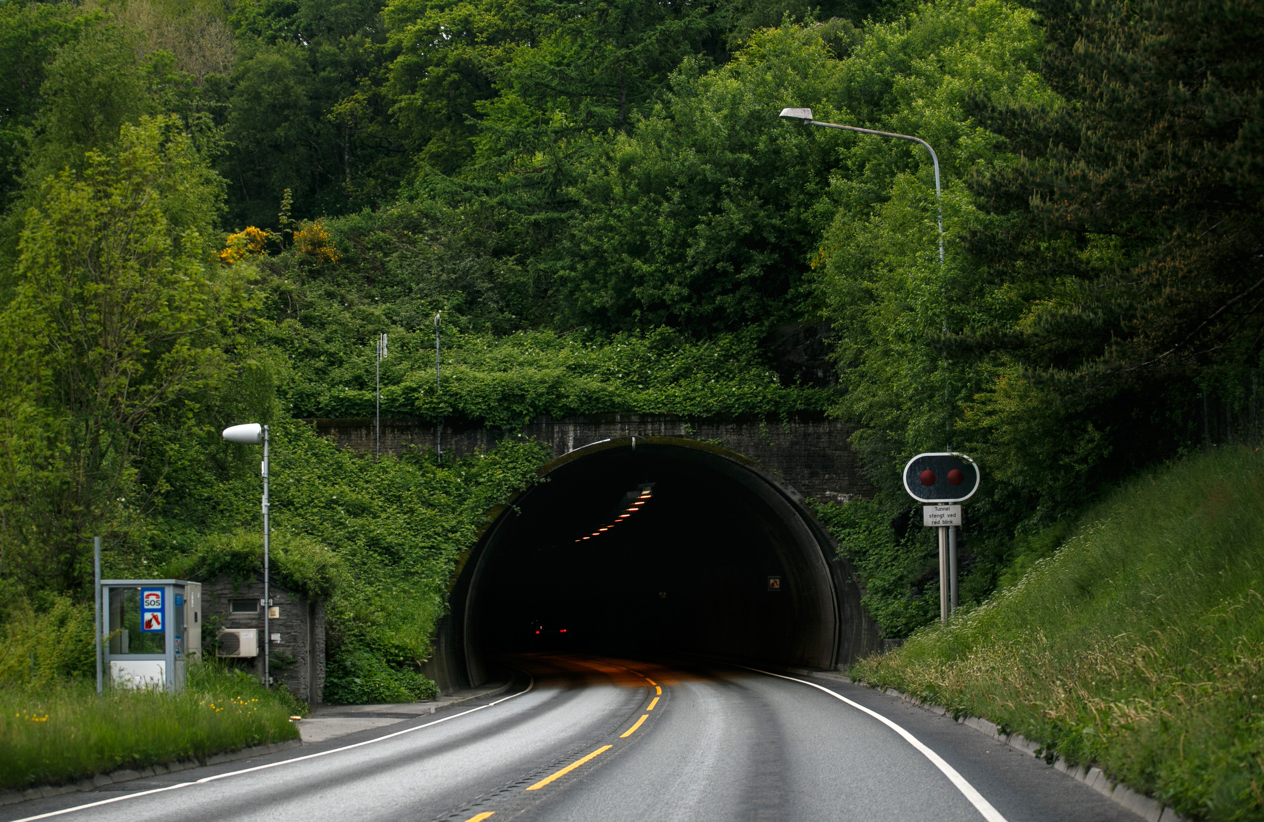 Норвегия. Природа. Главная