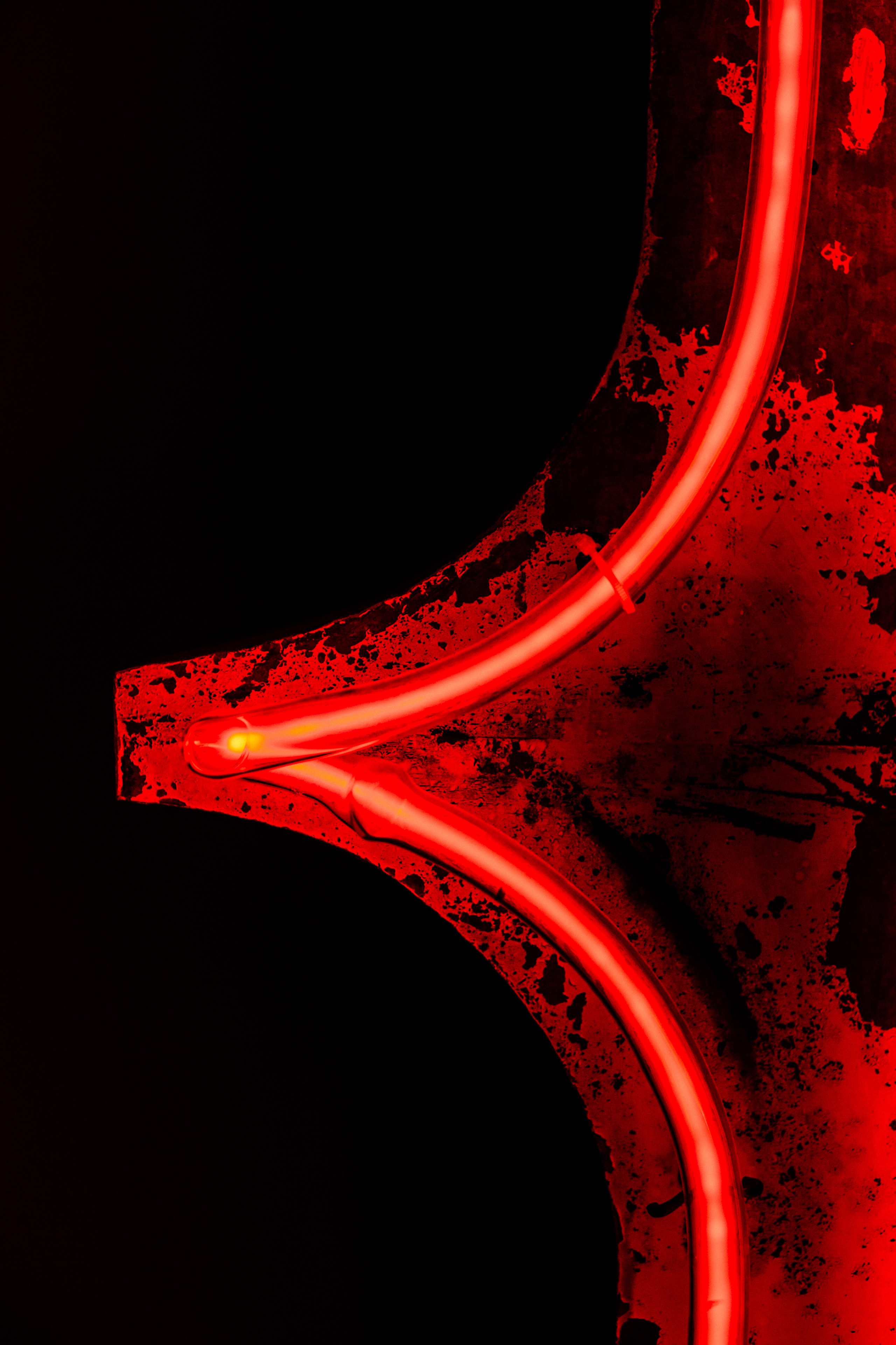 Варшава. Главная