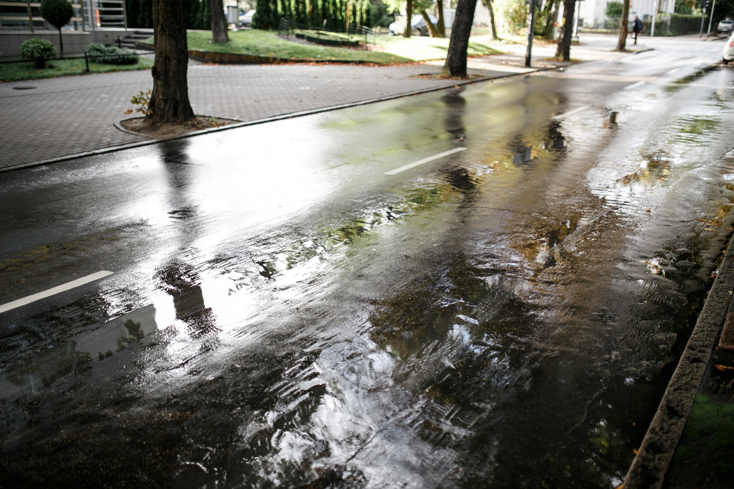 Саша и Аня. Главная