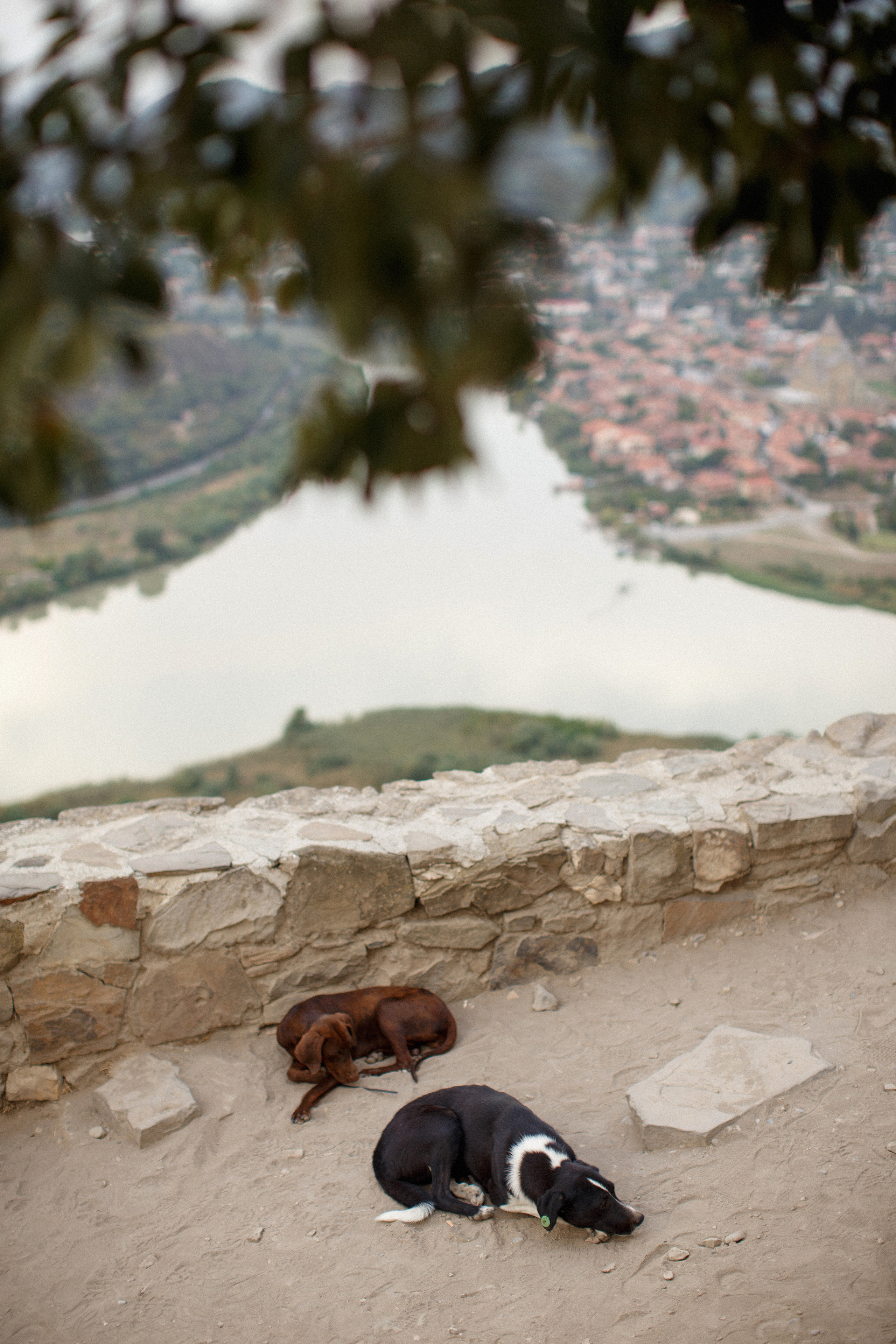 Тбилиси. Главная