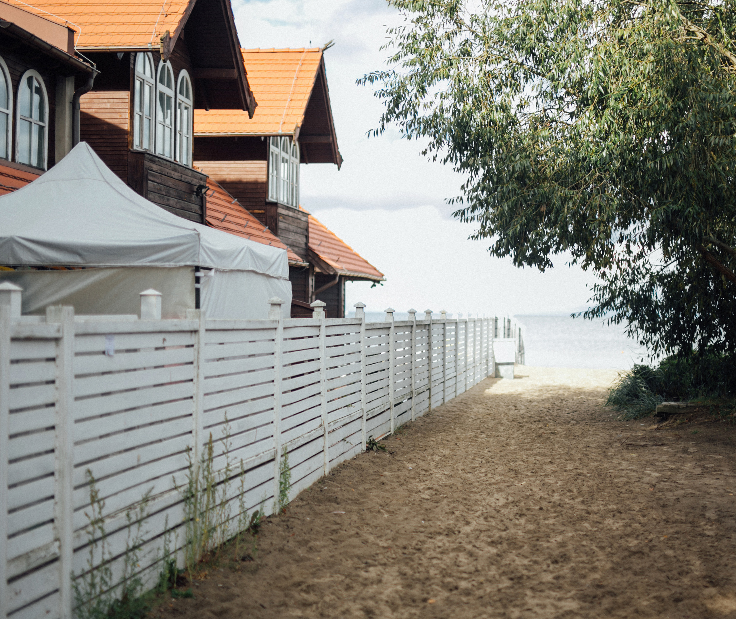 Саша и Аня. Главная