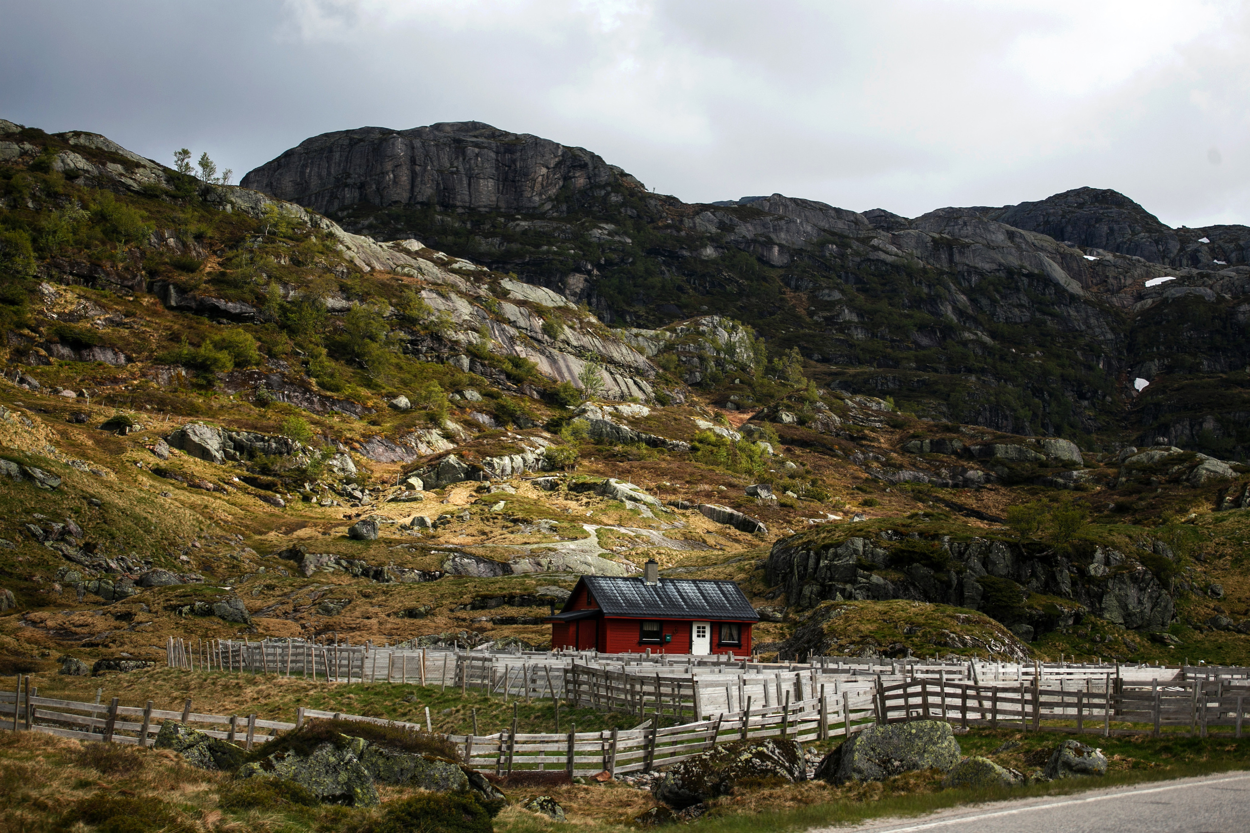 Норвегия. Природа. Главная