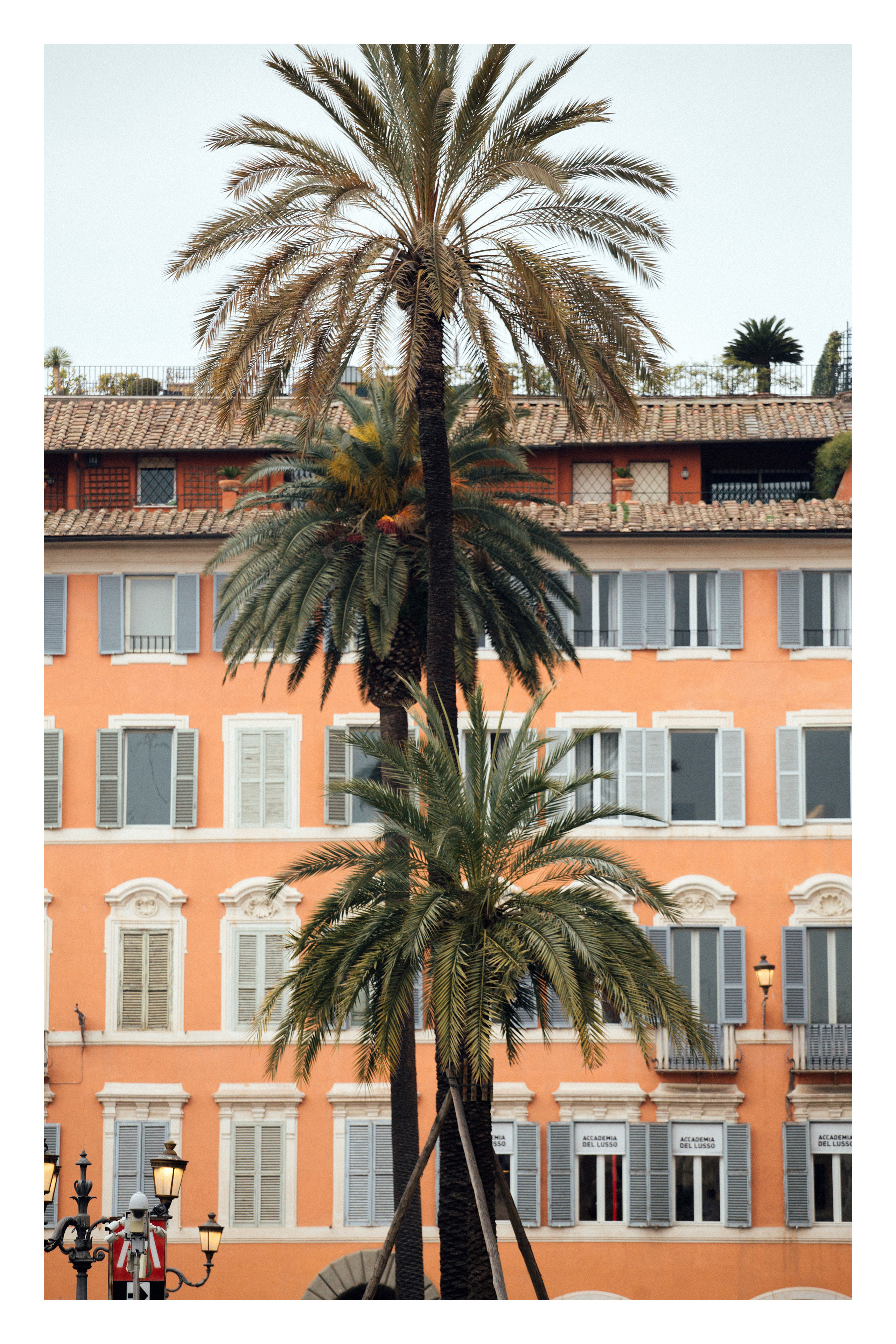 Великий Рим. Главная