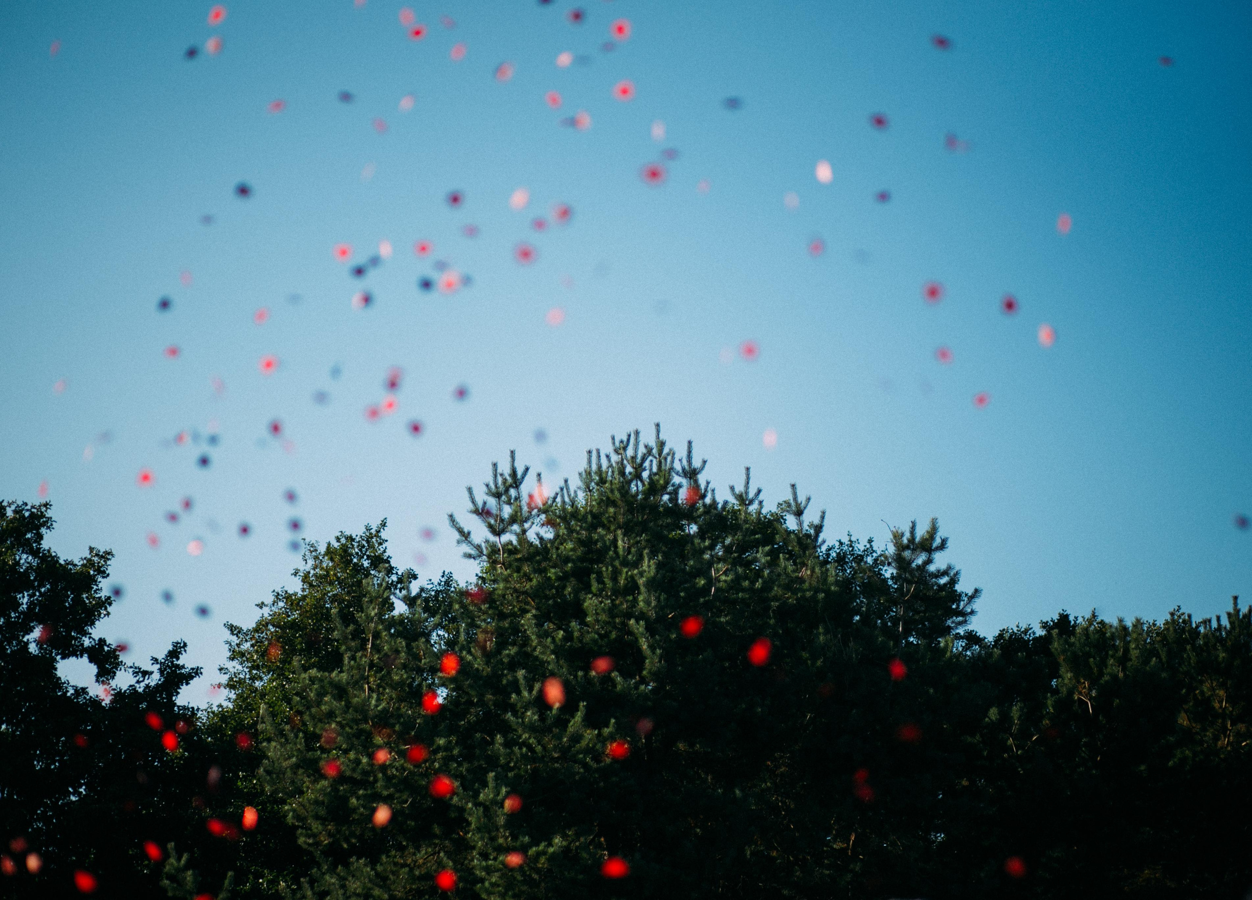 Фатима и Аркадий. Главная