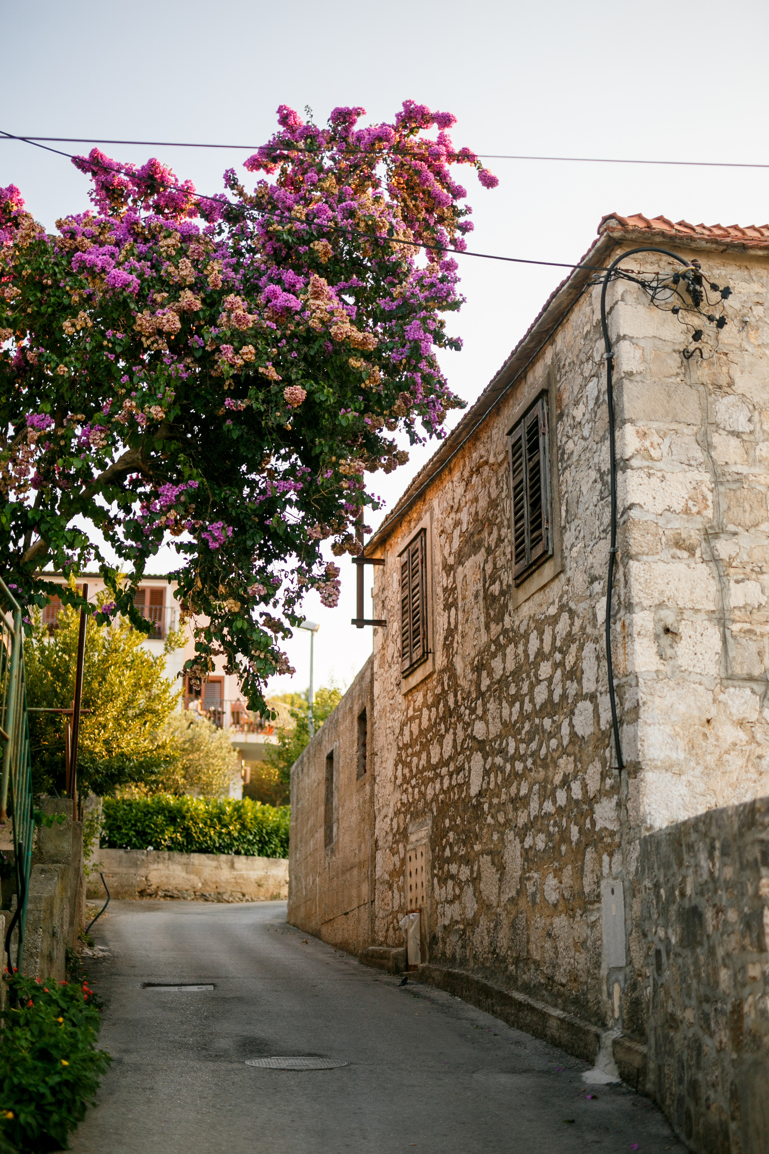 Хорватия. Главная