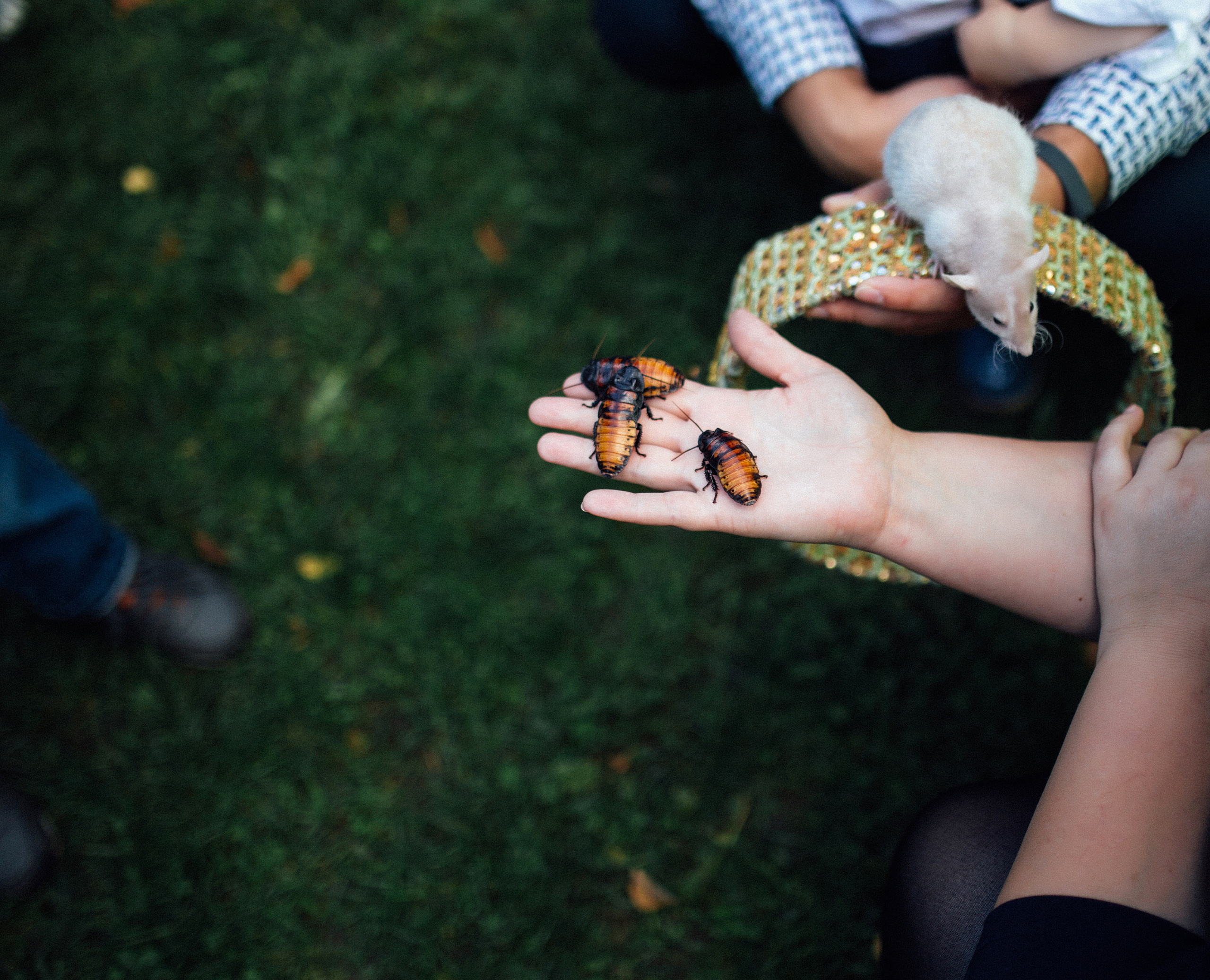 День Рождения — Один год. Главная