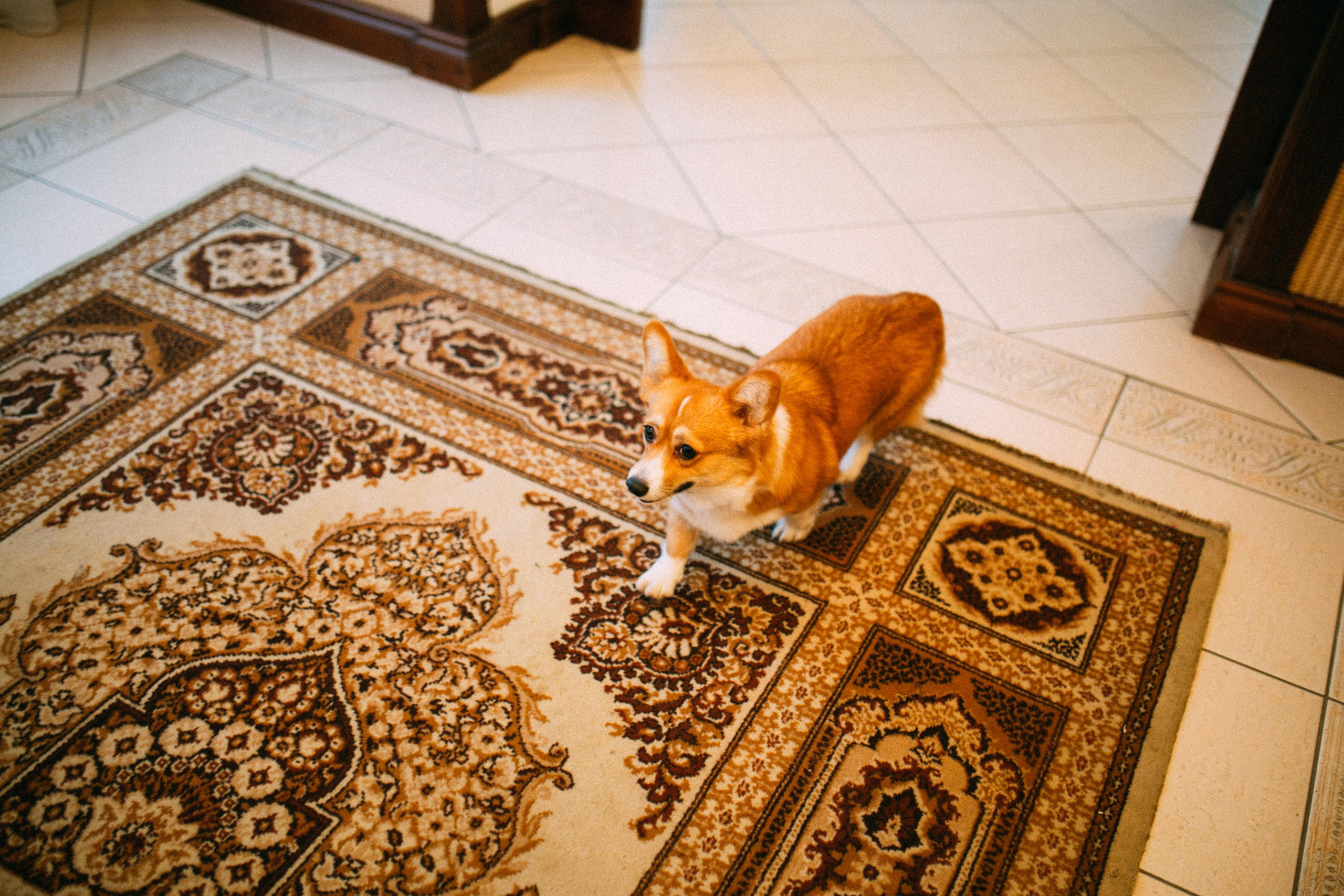 Лина и Саша. Главная