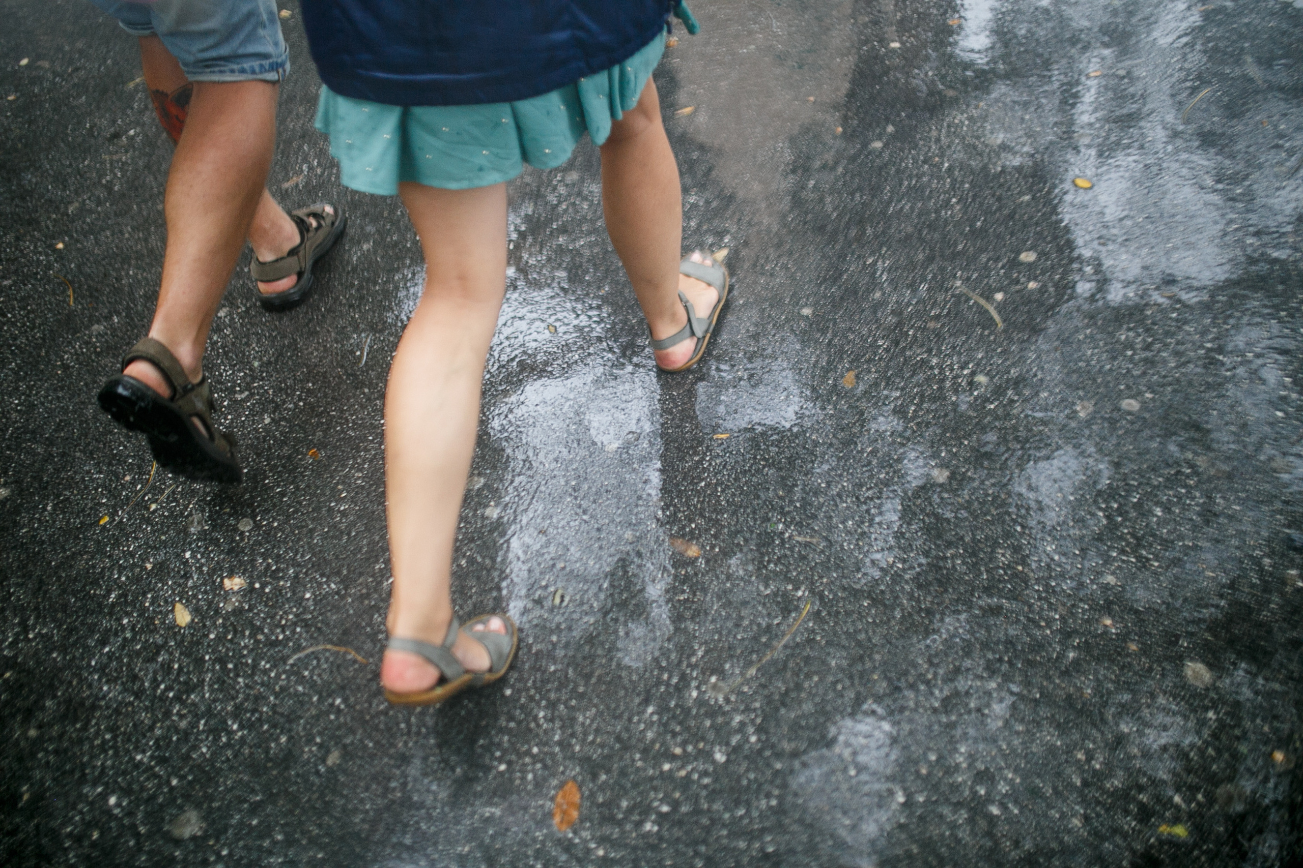 Хорватия. Главная