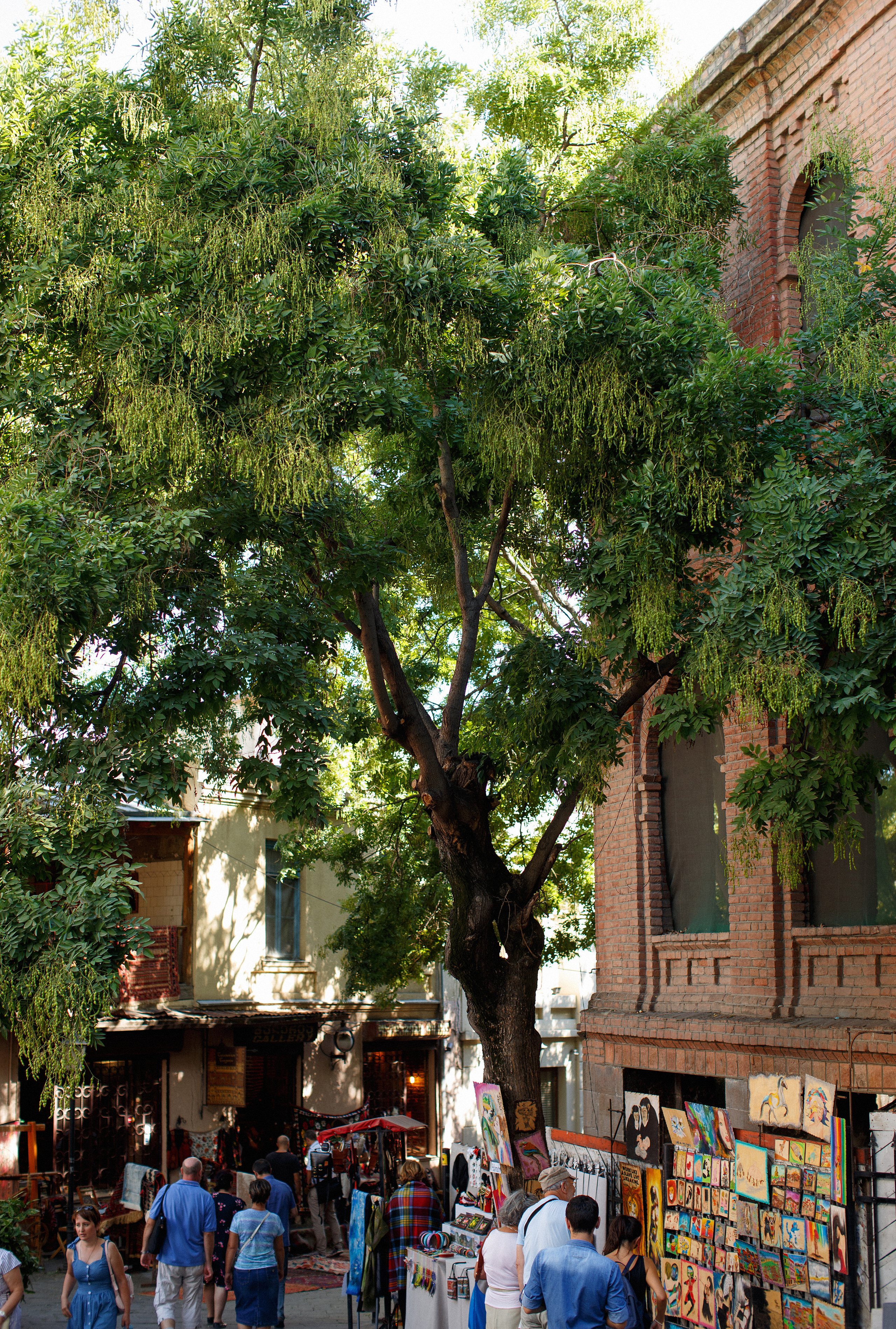 Тбилиси. Главная