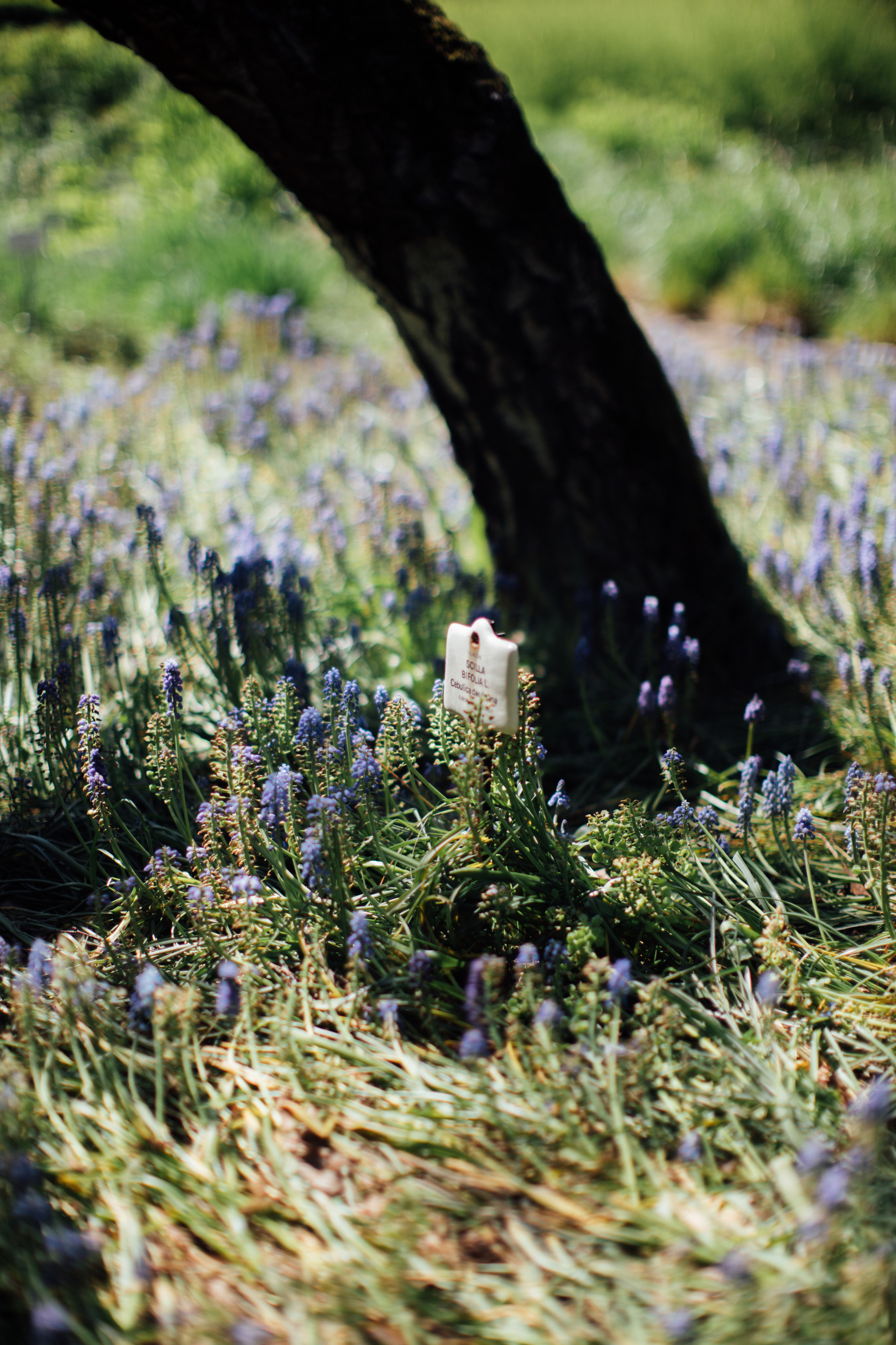 Краков. Главная