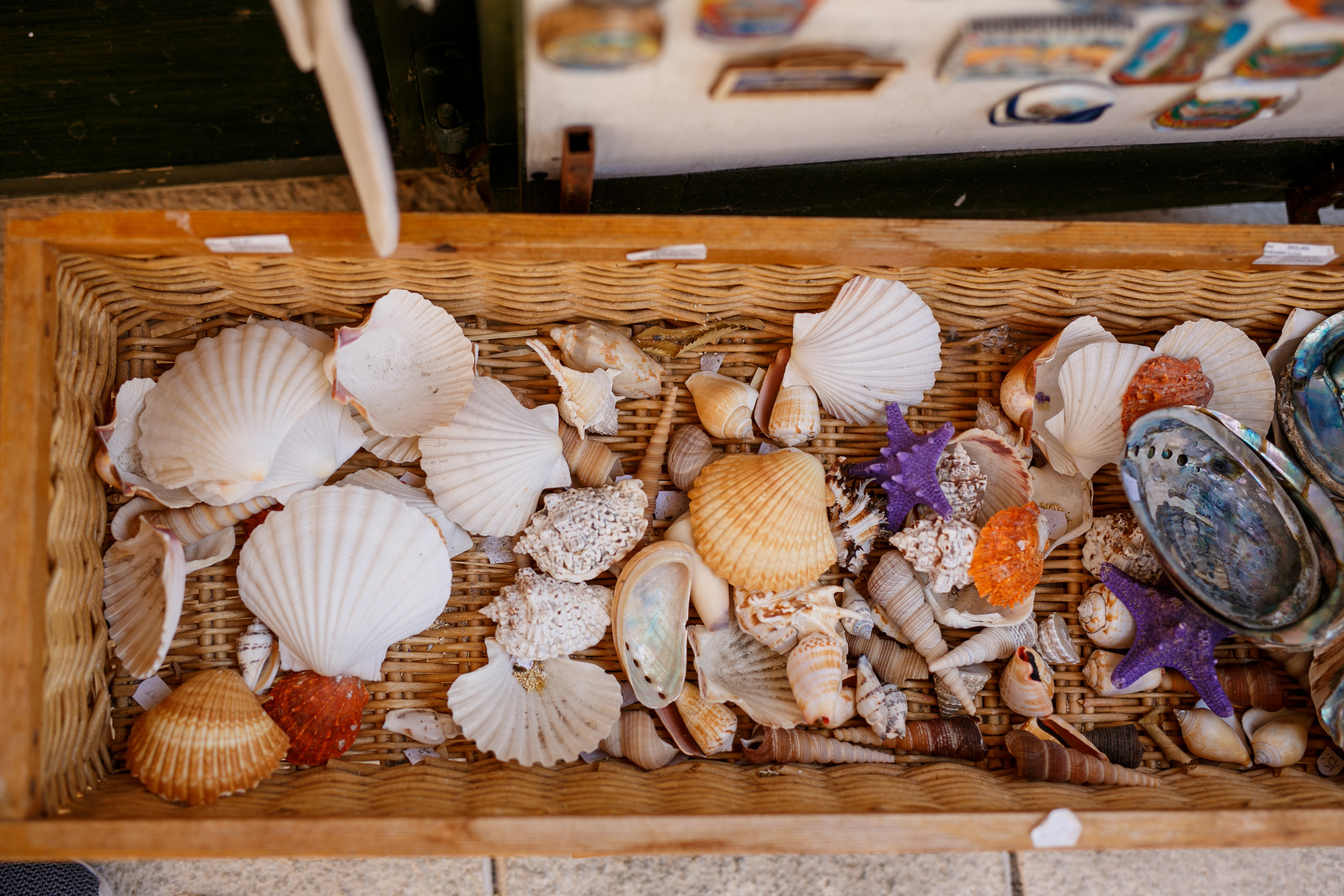 Хорватия. Главная