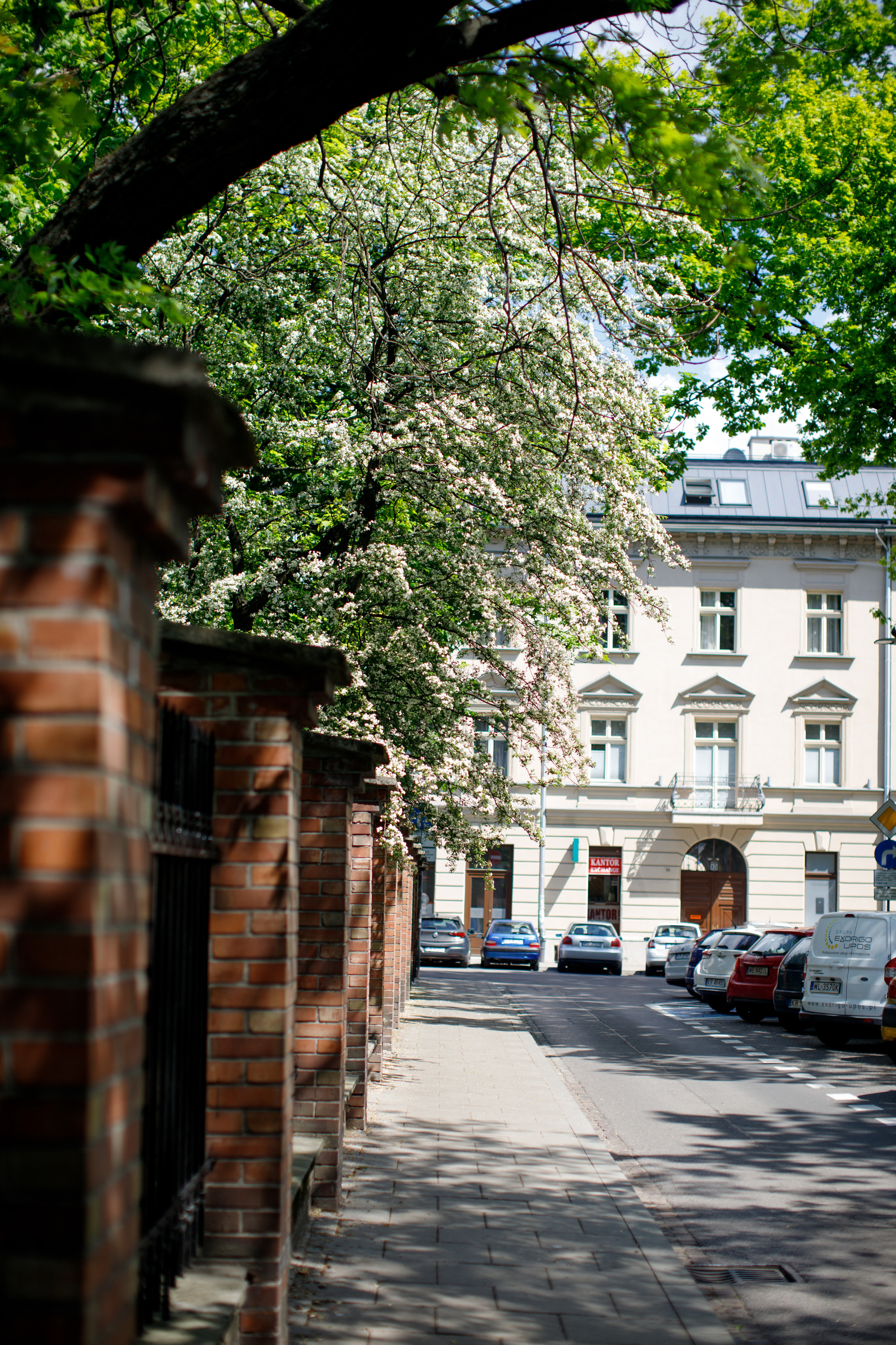 Краков. Главная