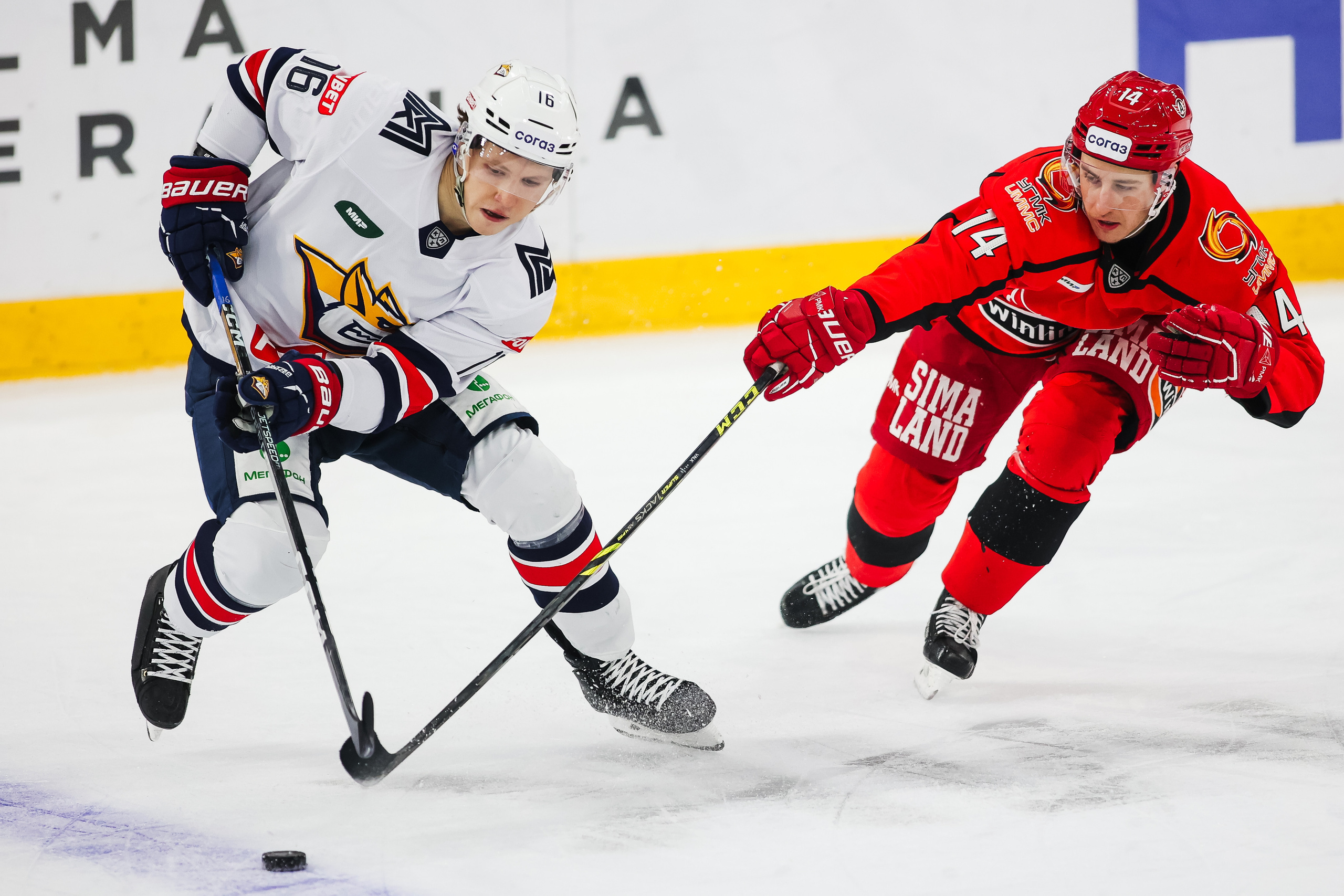 Спортивная фотосъемка, футбол, хоккей, баскетбол, волейбол