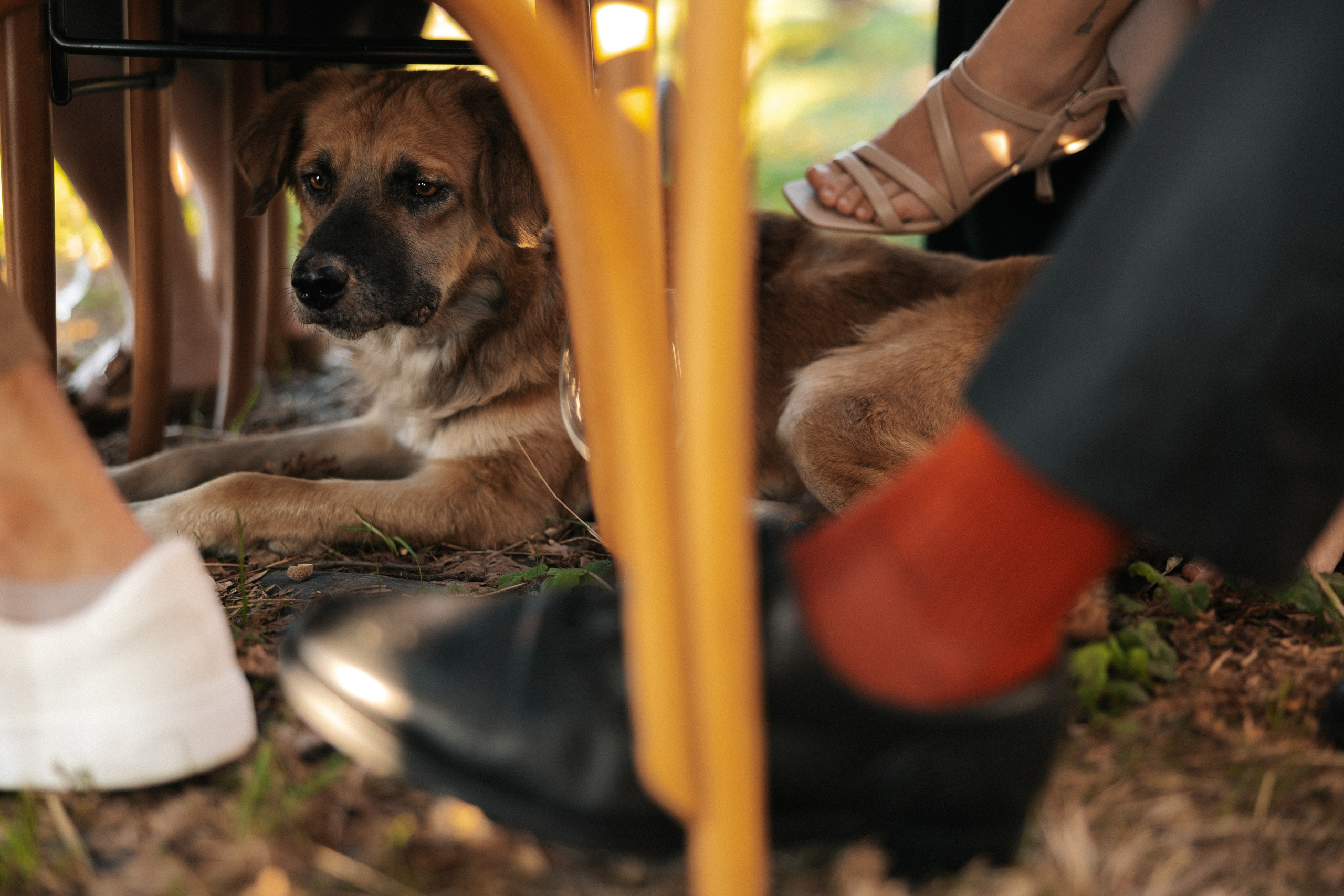 Грузия. Свадебный фотограф Москва Мотеюнайте Виктория