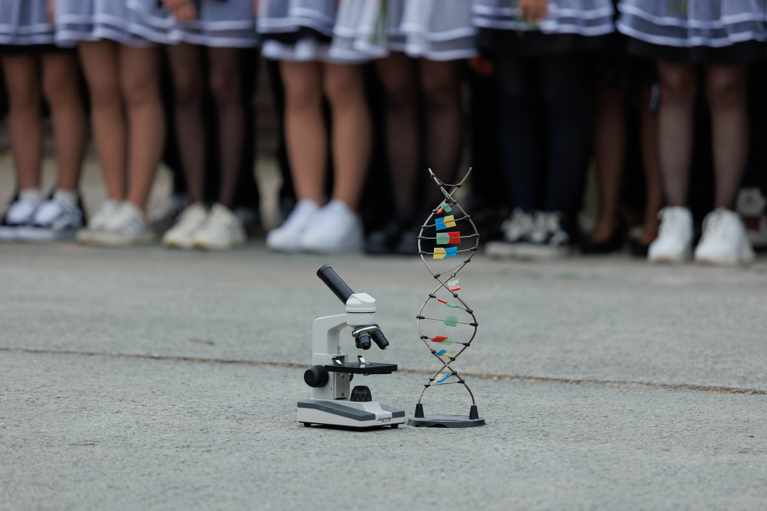 День знаний 2024. Лицей № 28. Фотомастерская Воробьевых