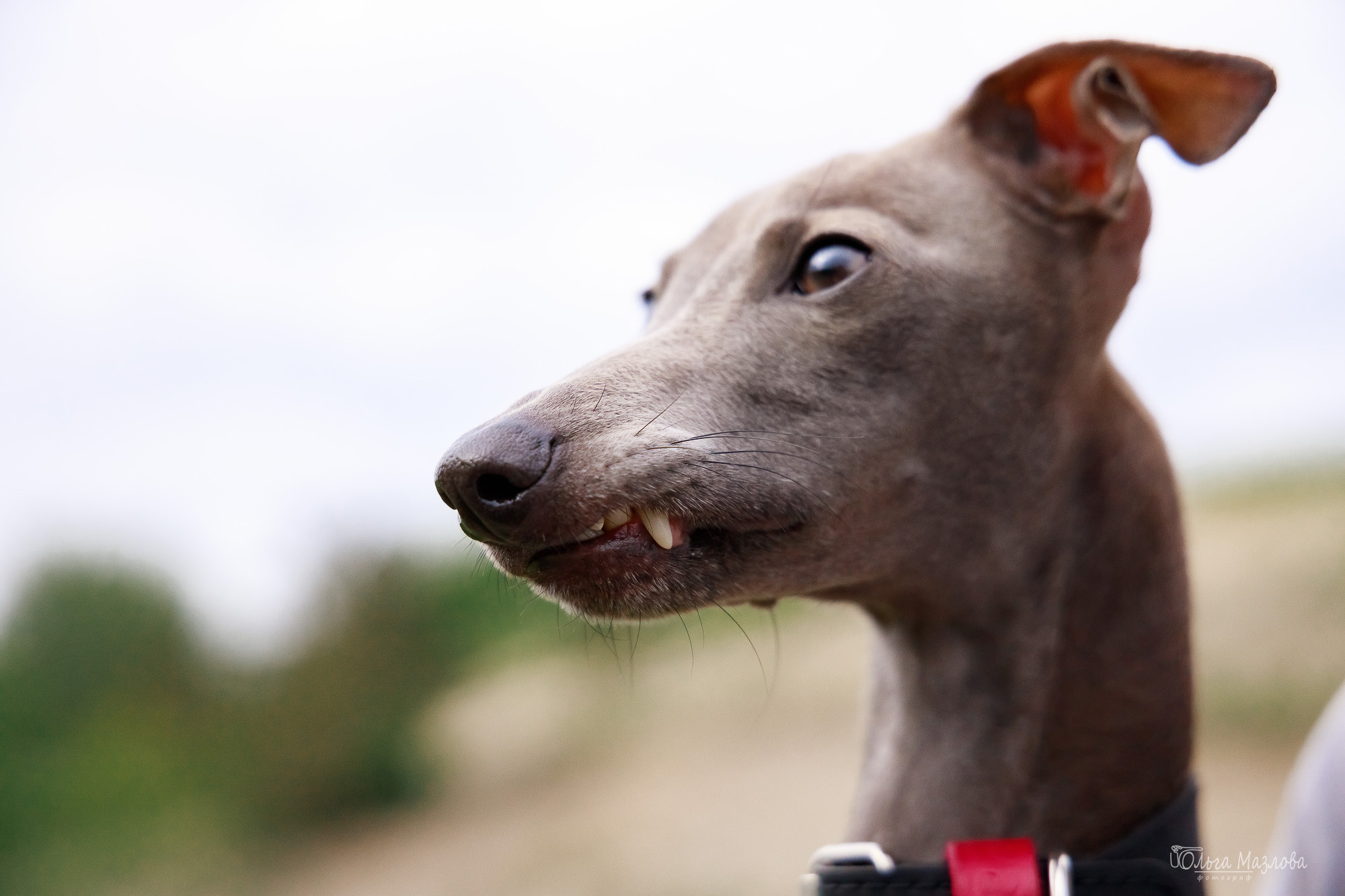 семейный фотограф в Саратове