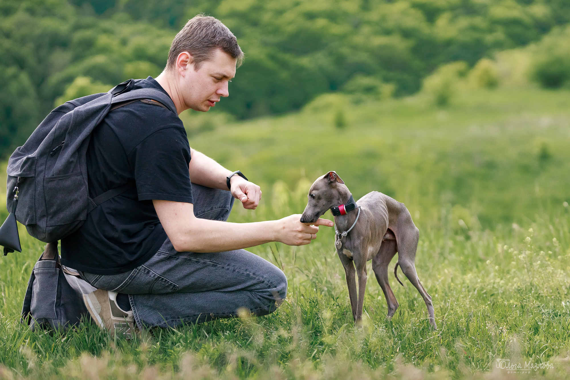 Фотосессия с собакой в Саратове. Фотограф в Саратове Ольга Мазлова