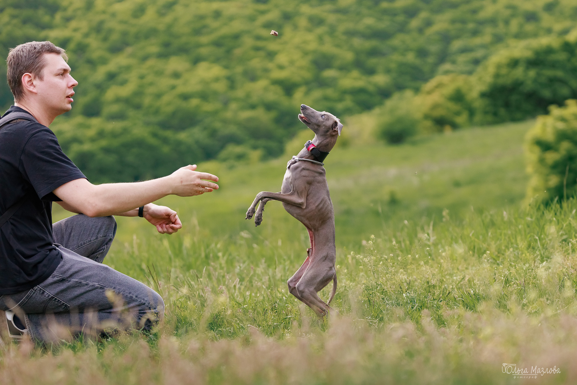 Фотосессия с собакой в Саратове. Фотограф в Саратове Ольга Мазлова