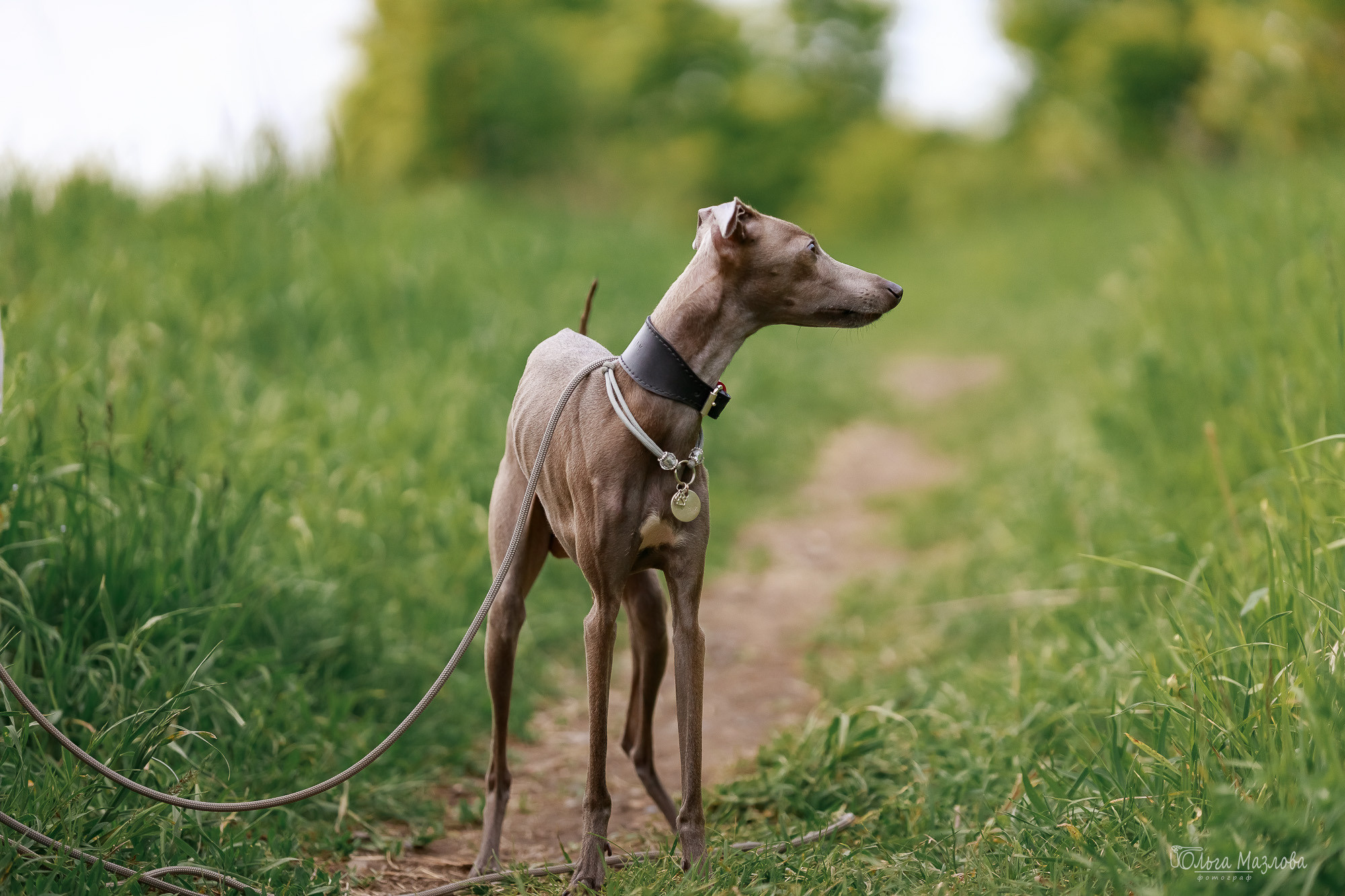 фотограф в Саратове