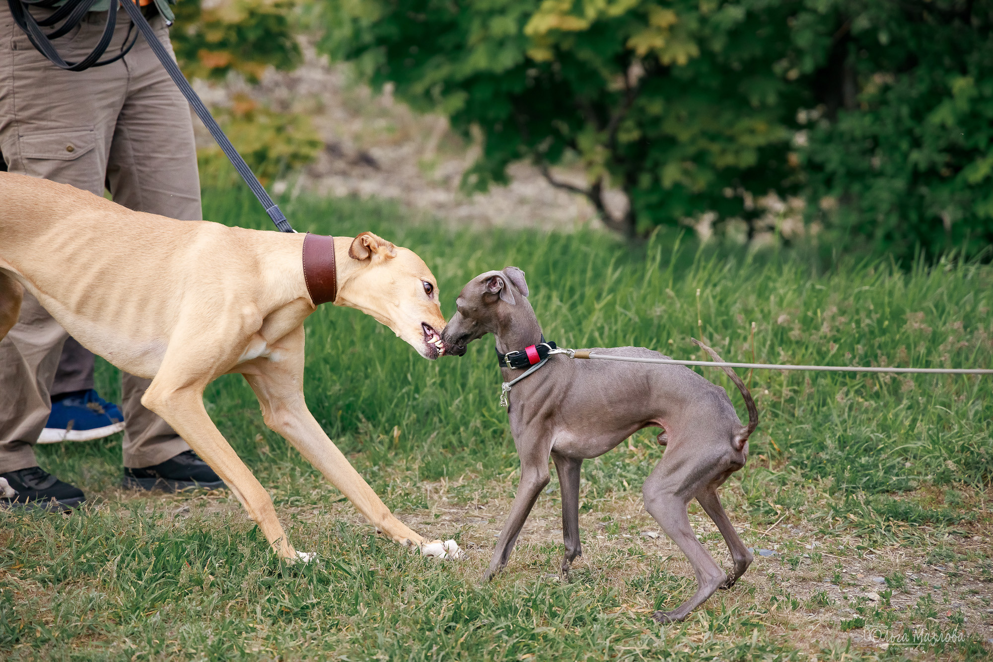 фотосъемка в Саратове