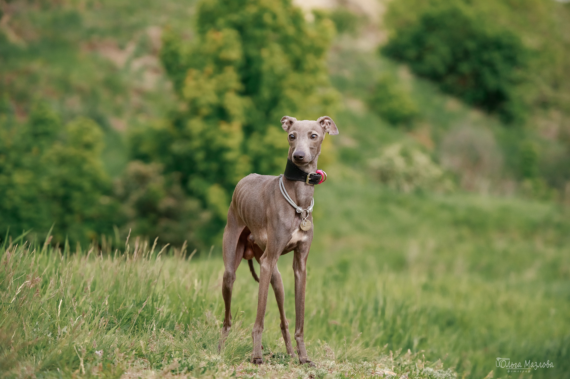 фотосъемка в Саратове