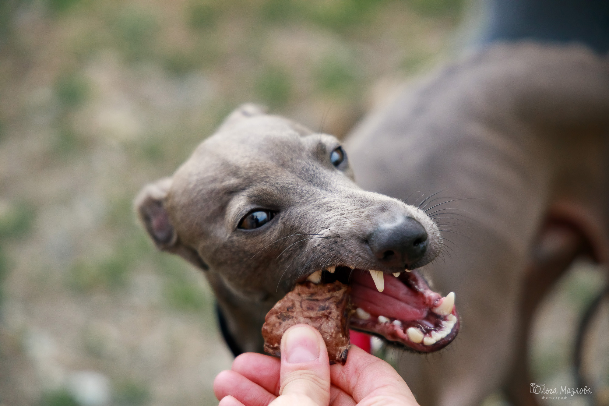фотограф в Саратове
