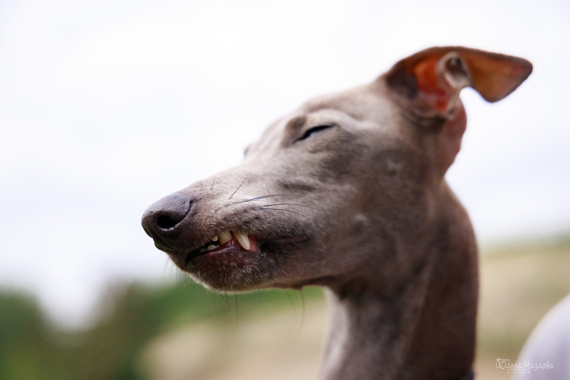 фотограф в Саратове