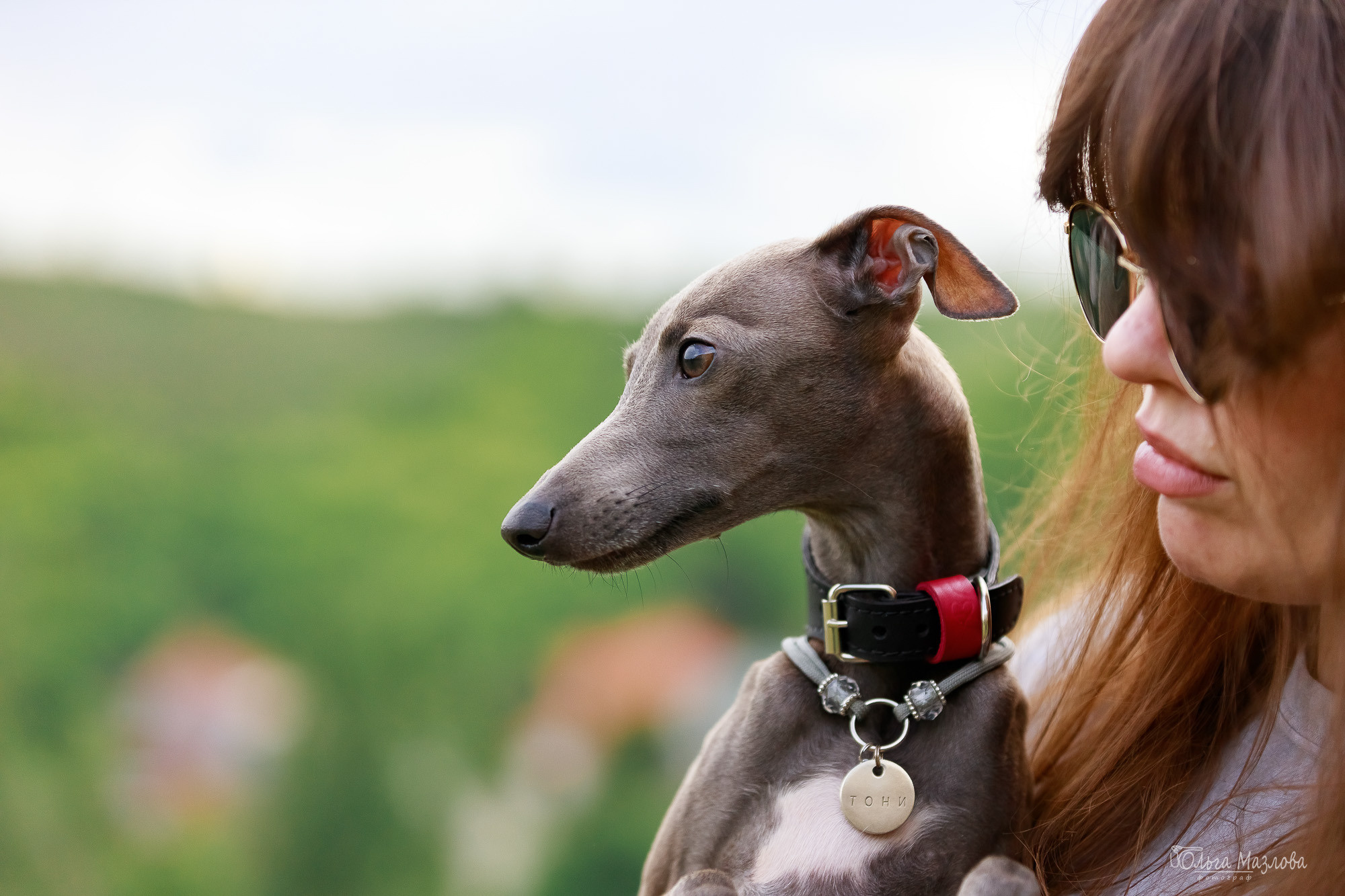 анималист Саратов