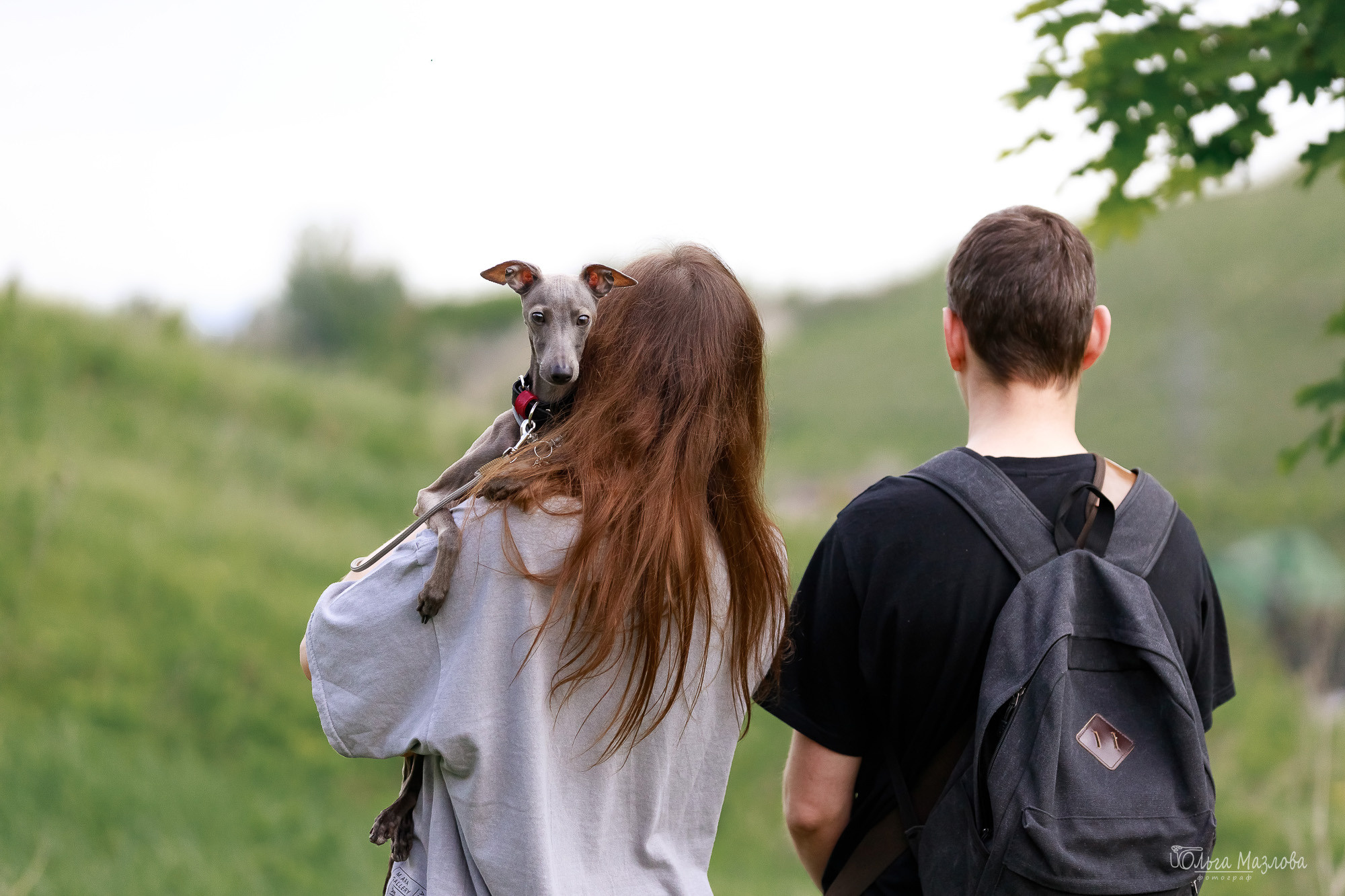 Фотосессия с собакой в Саратове. Фотограф в Саратове Ольга Мазлова